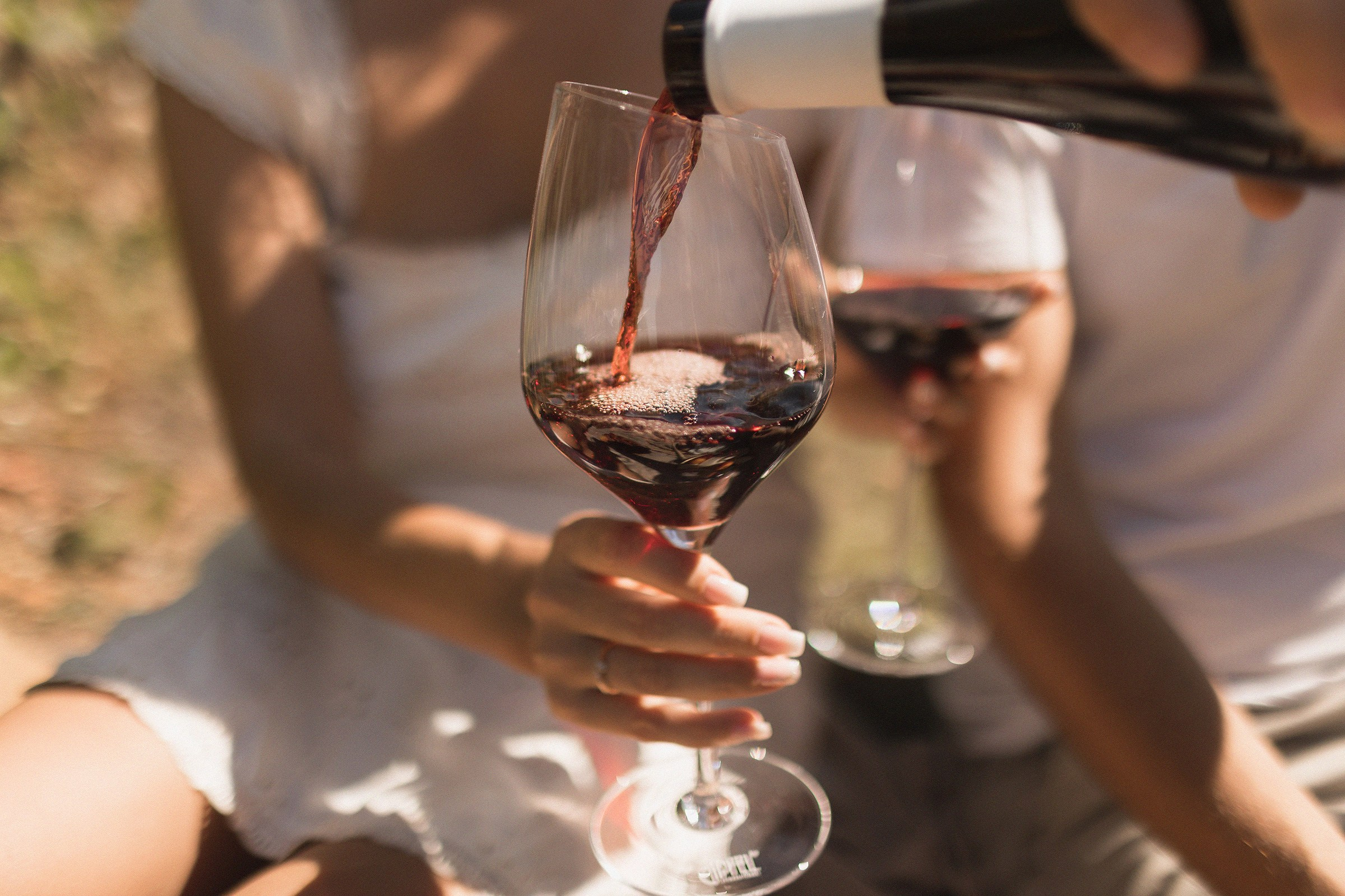 Wine and sea. Sovushka DS