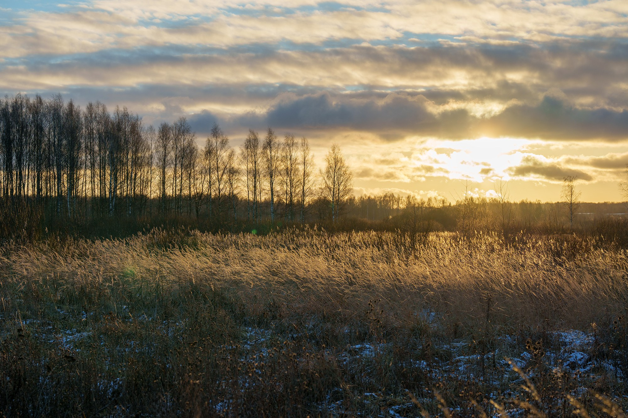 Природа. Ваш личный фотограф Марина Волкова