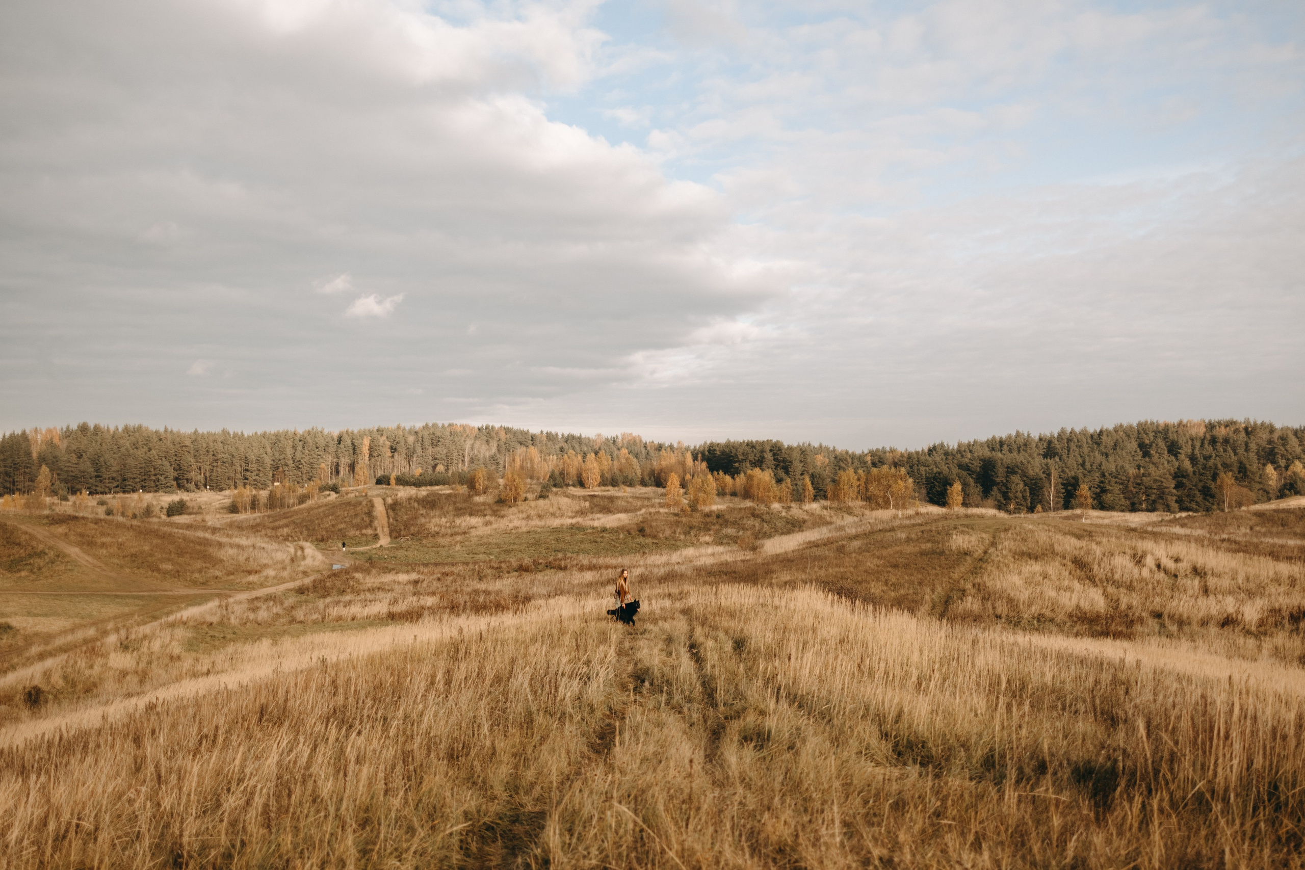 Лора и Джанго. Фотограф — Анималист | Санкт-Петербург