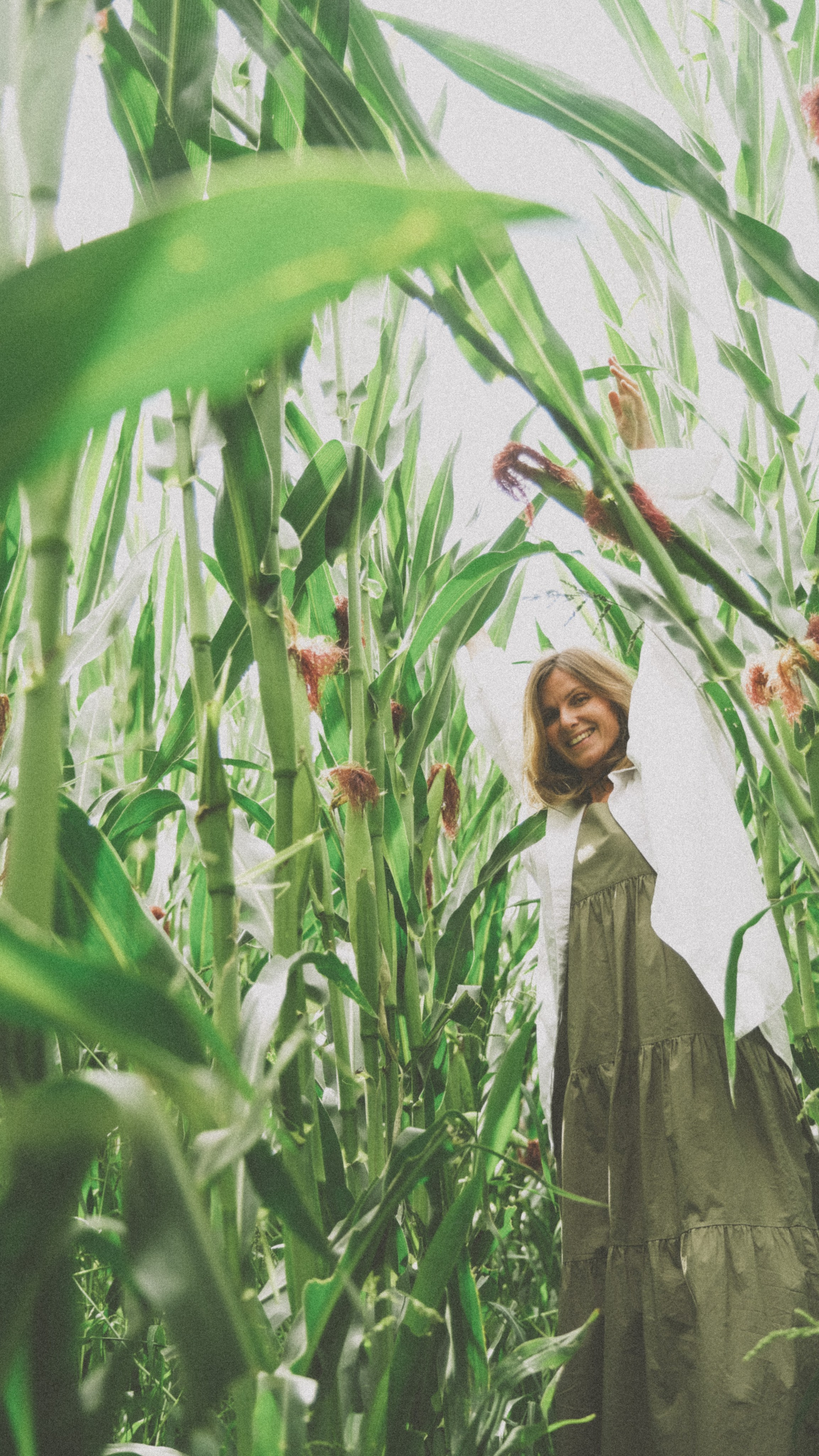 В кукурузном поле. Семейный фотограф Москва и Домодедово Ольга Игнатова