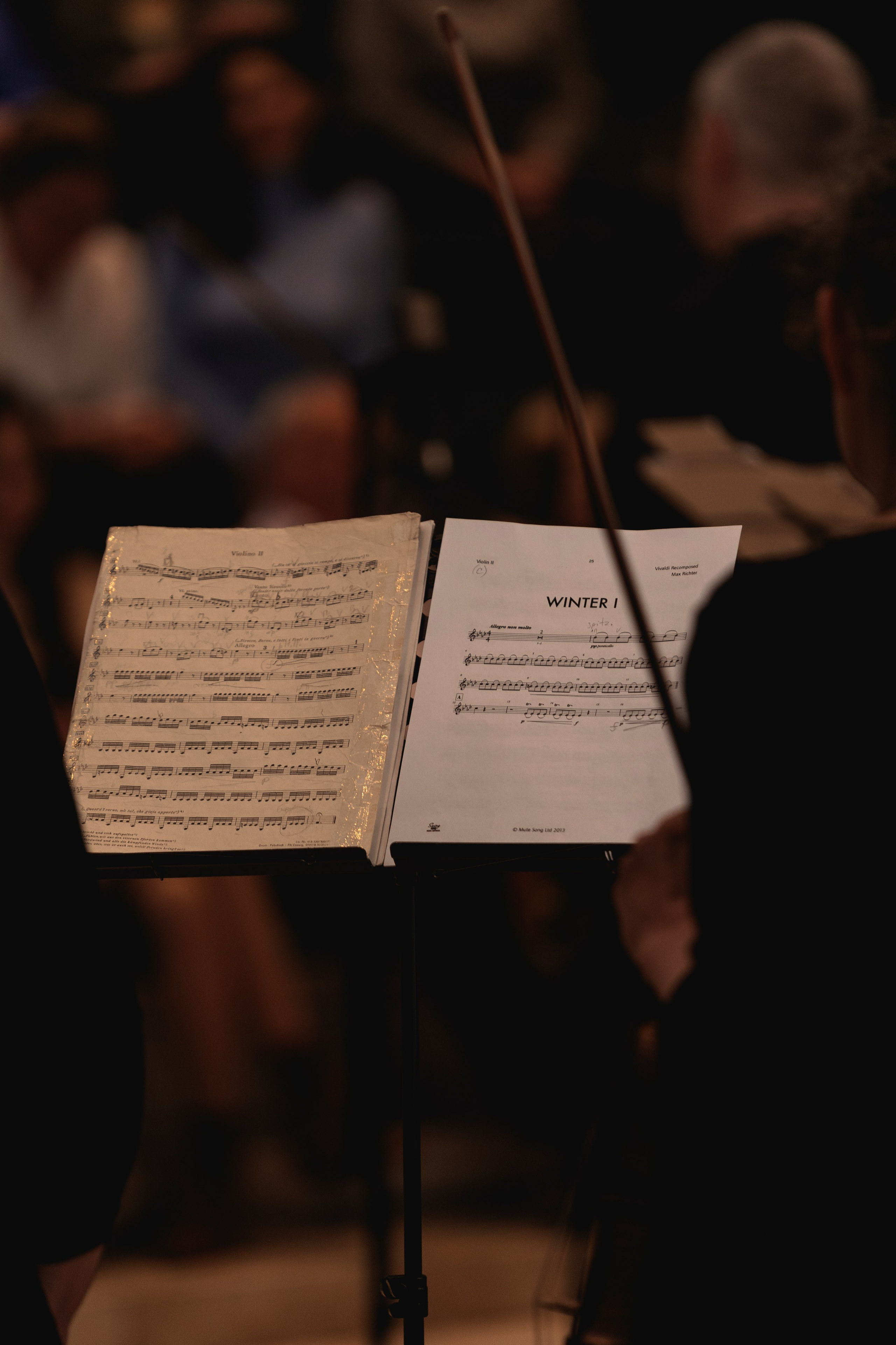 The State Hermitage Museum. Divertissement Chamber Orchestra. Фотограф Ирина Соколенко Санкт-Петербург