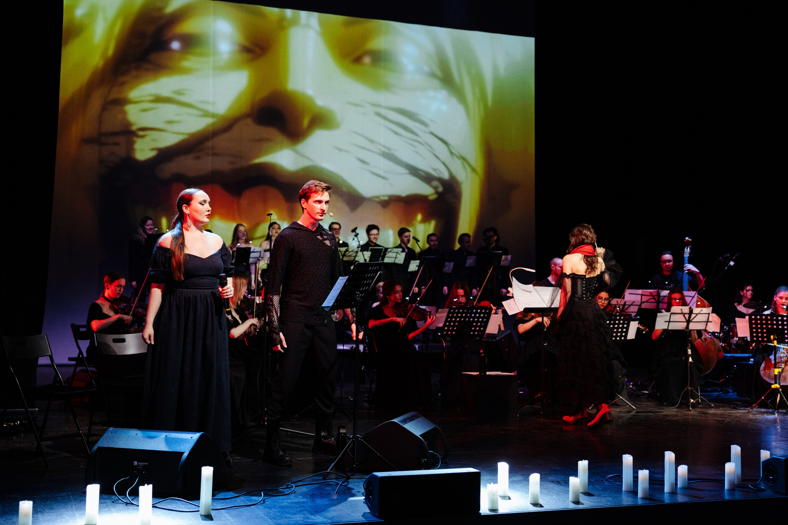 Симфомультимедия. Фотограф Петрова Мария