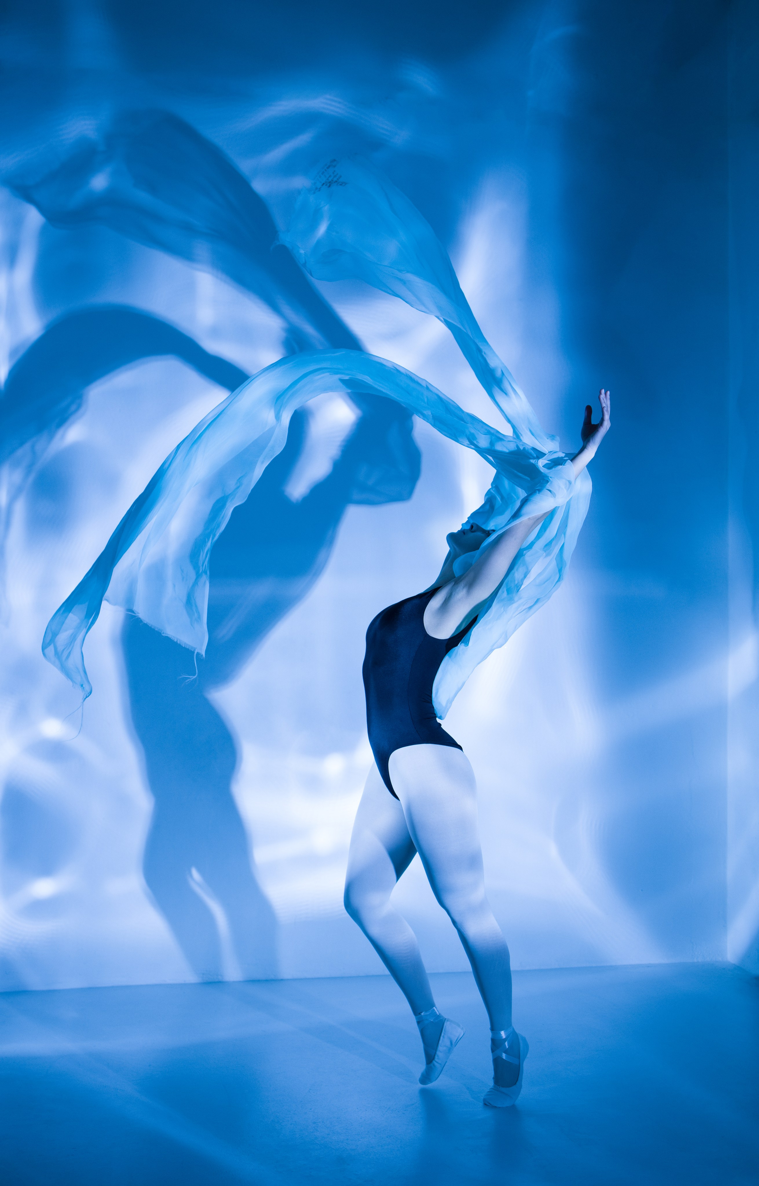 Лилия. Художественная фотография