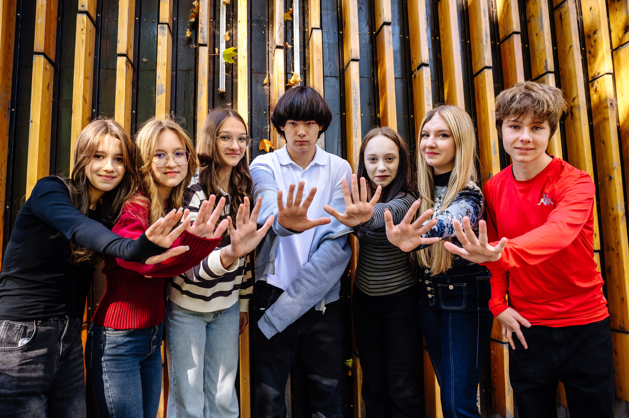 Старшая школа 9-11 класс