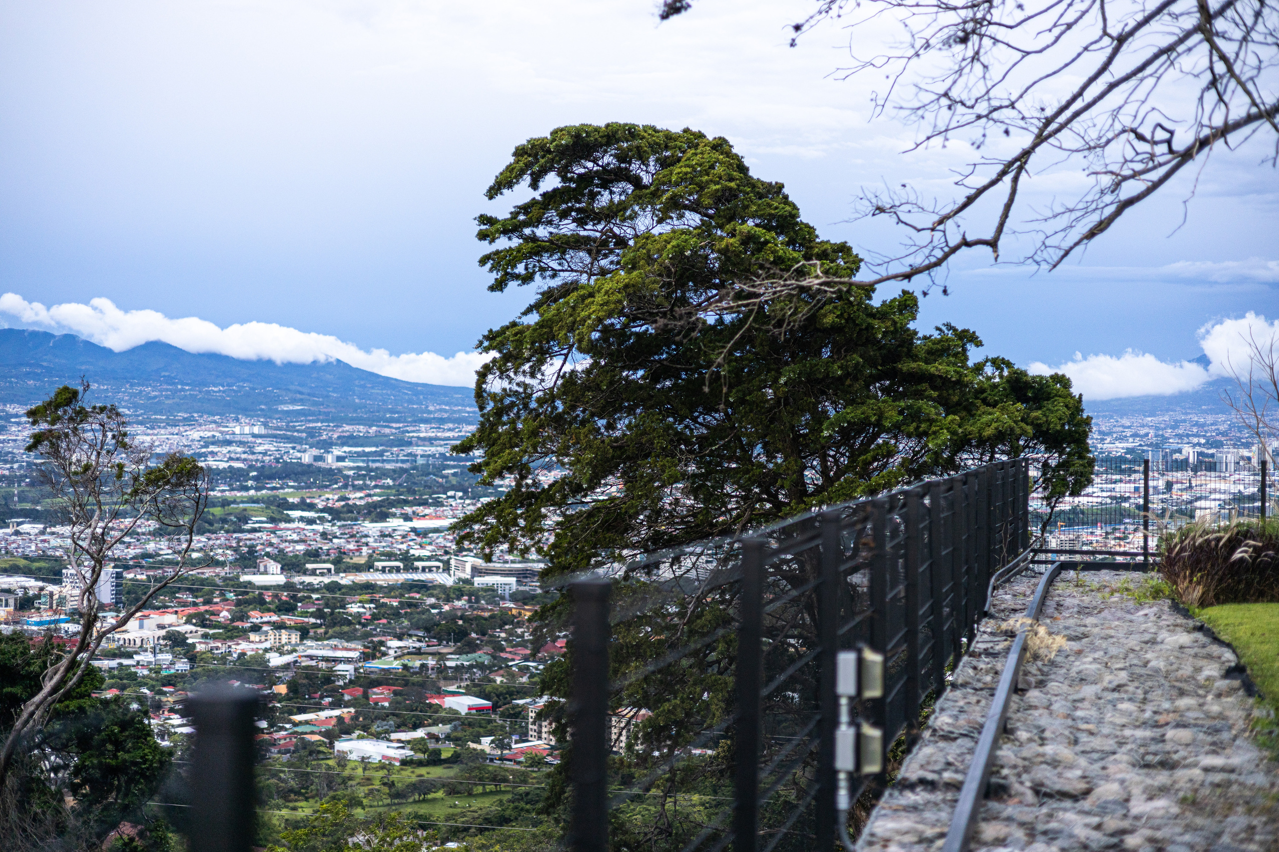 Nik and the soul nature. Family, portrait, content photo in Costa Rica Evgeniya Besprozvannykh