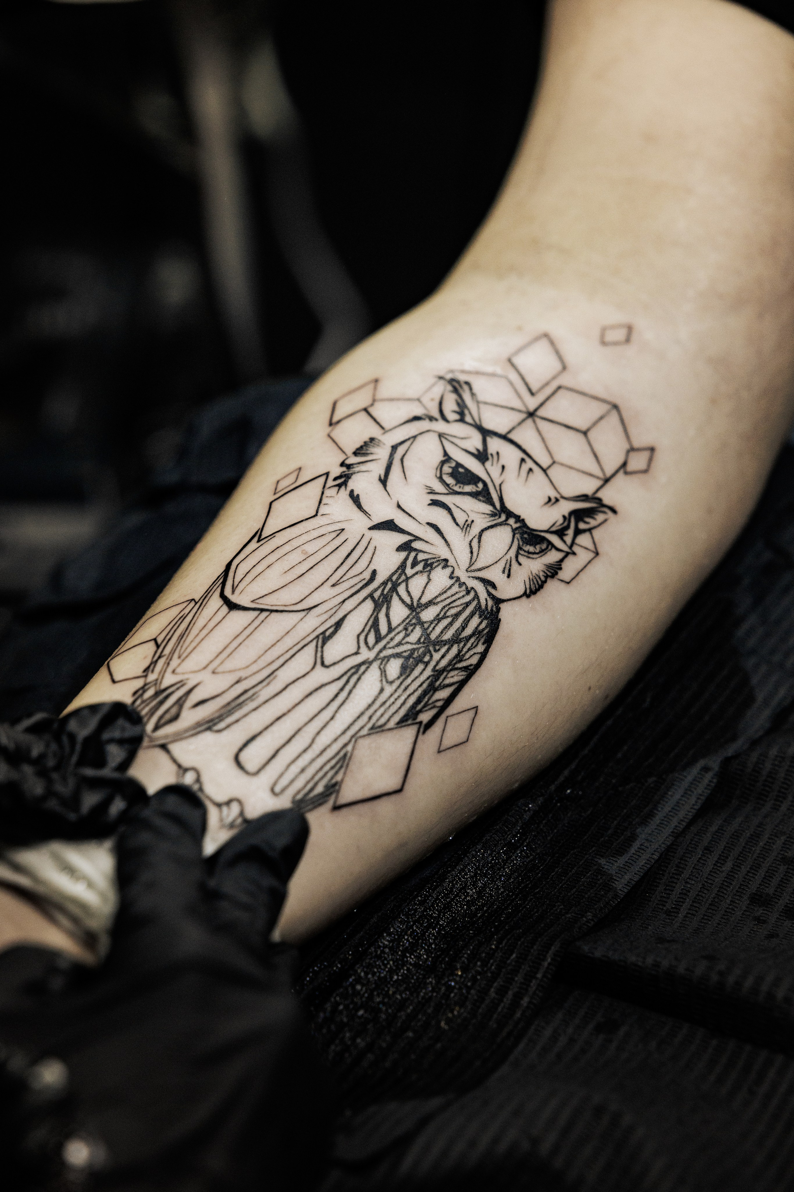 Tattoo. SAPRONOVFILMS