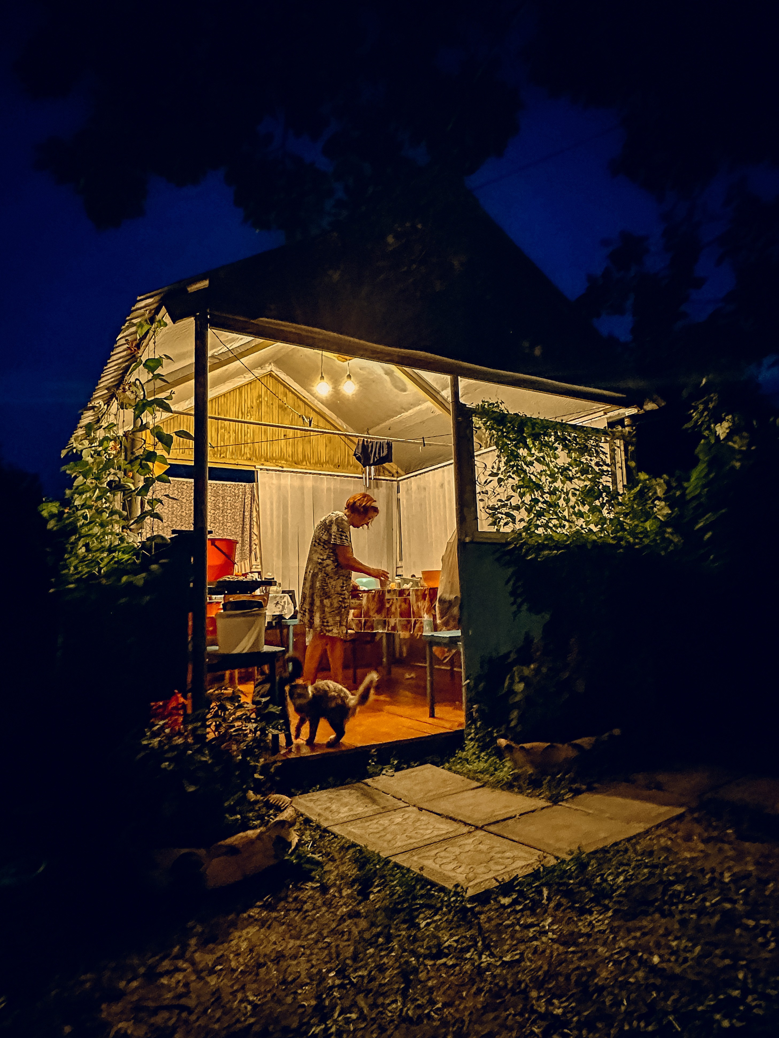 Деревенские зарисовки. Семейный LIFESTYLE фотограф в Москве