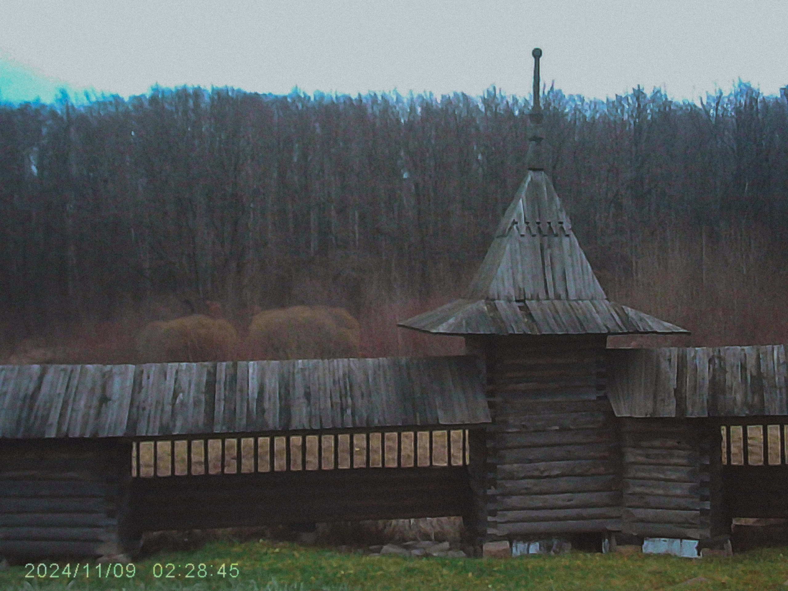 W&o q3. Анна Мильч