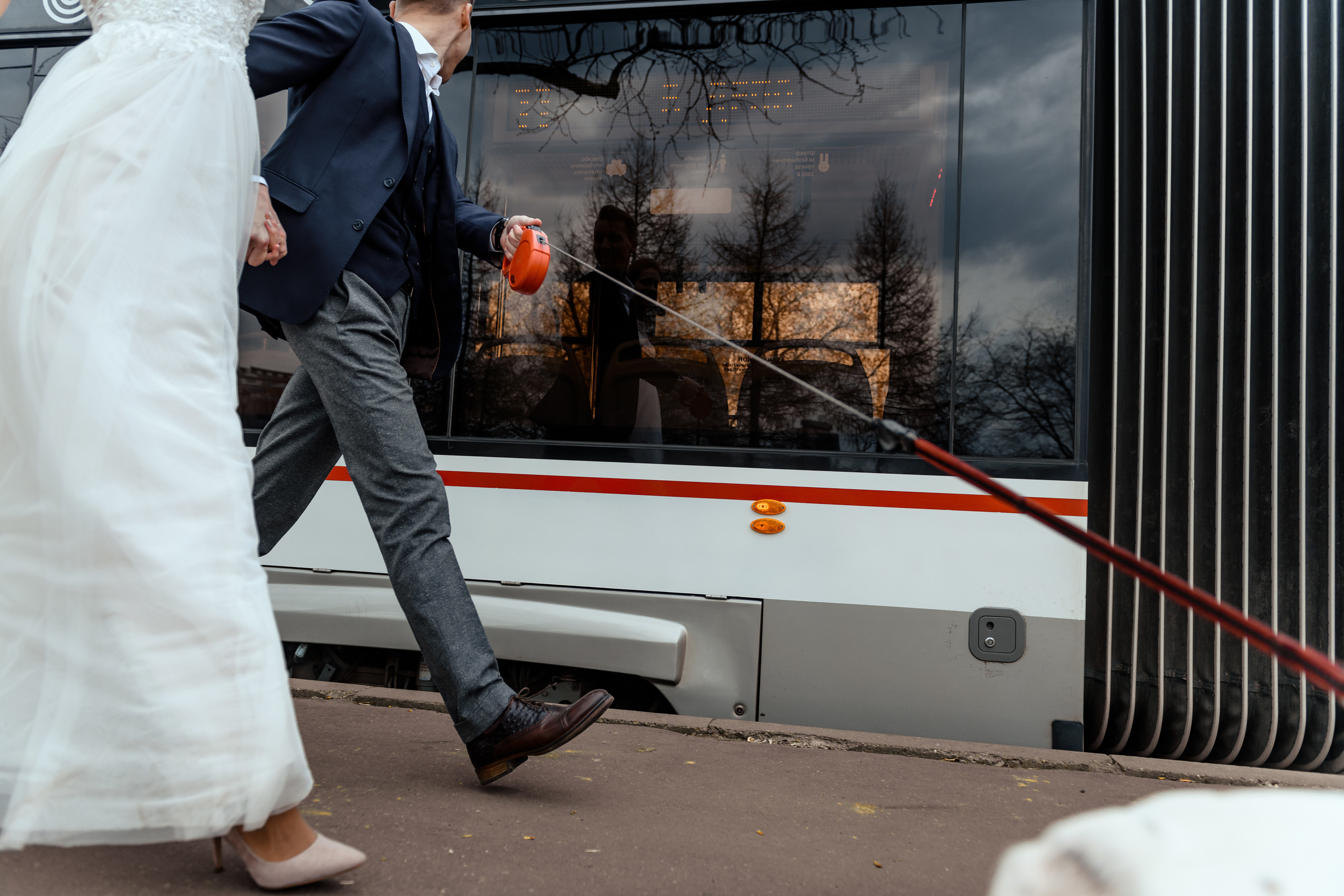 Ранний лепесток. Dmitry Unik — ваш стильный фотограф