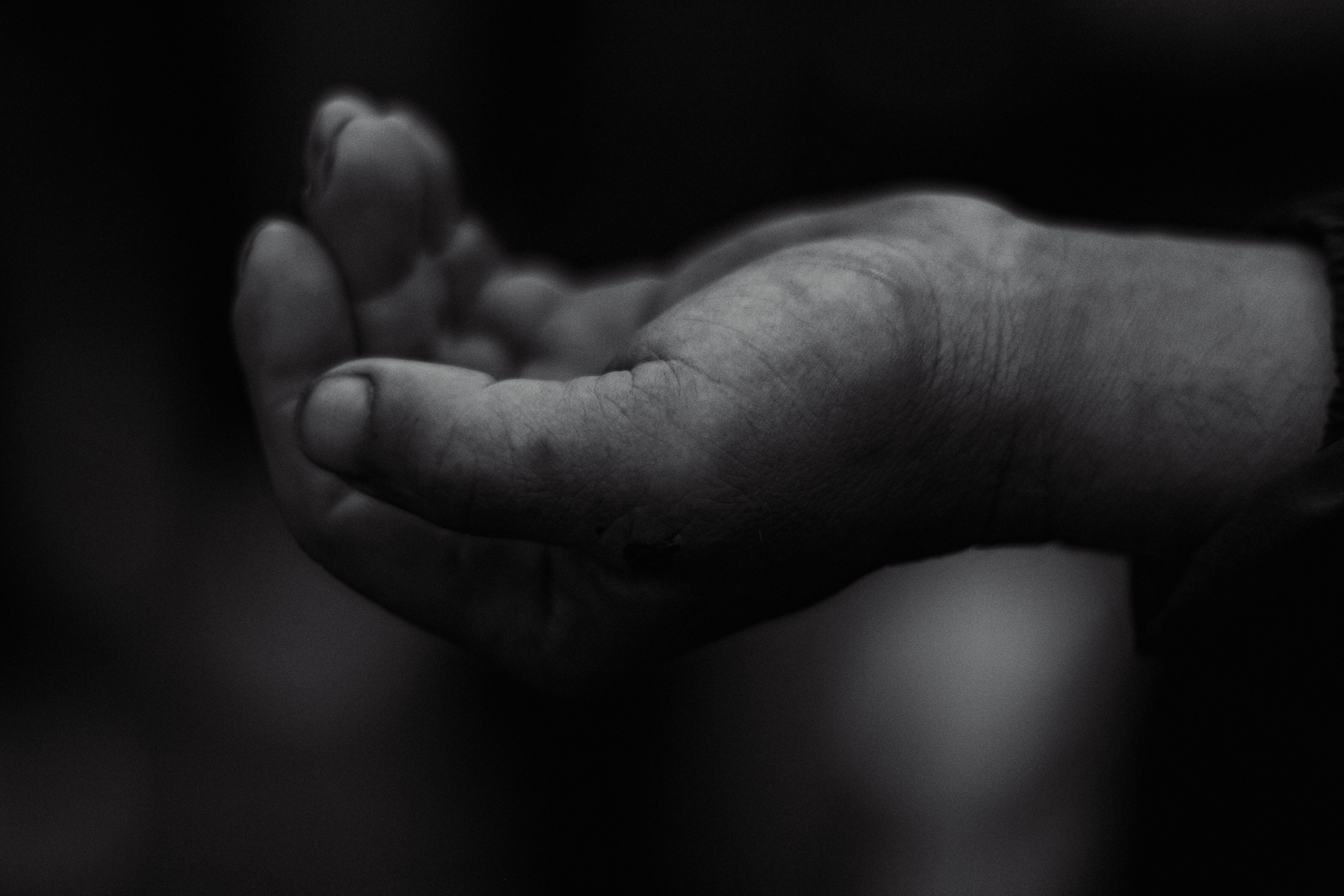 Съемки для фонда Доктор Лиза. Фотограф Алекс Беранже