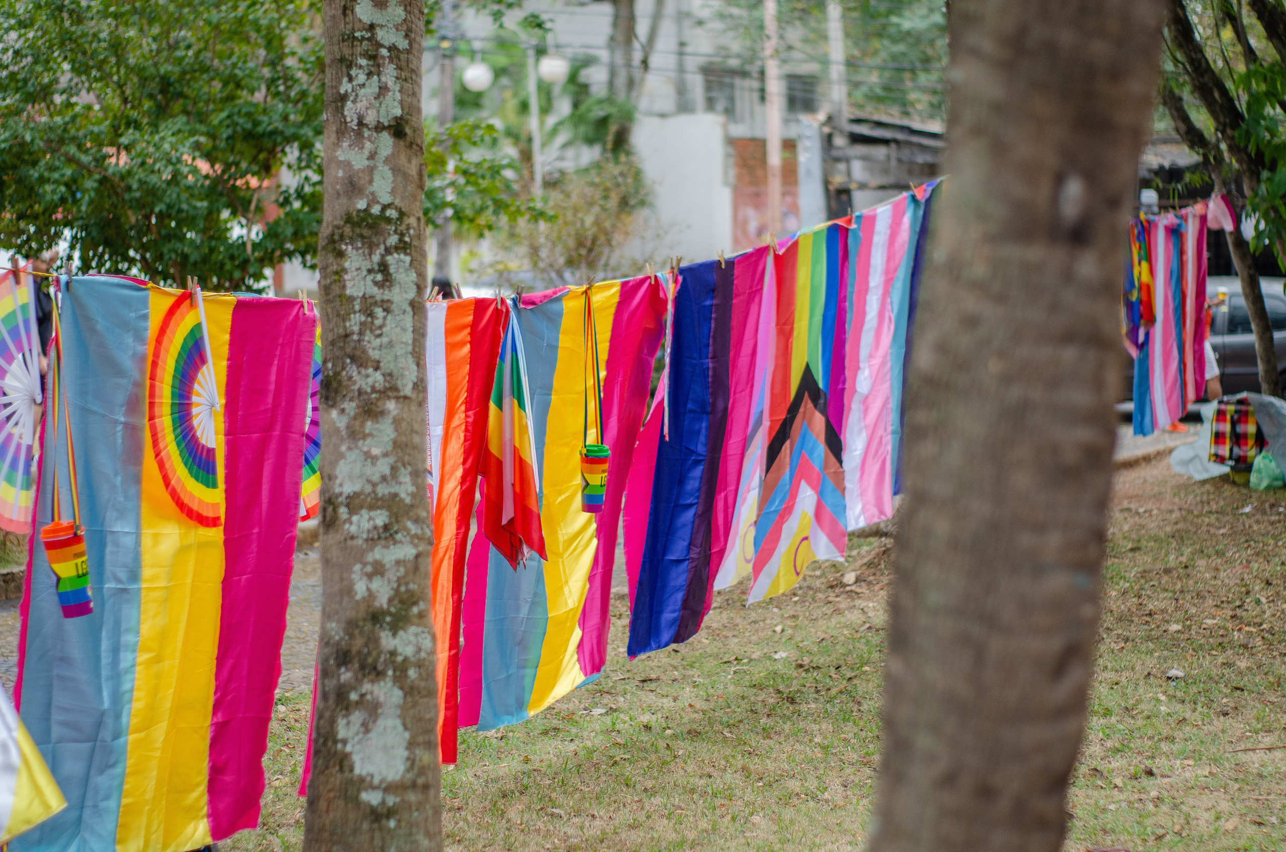 Parada LGBTQA+. Fotógrafo | Sessão de fotos