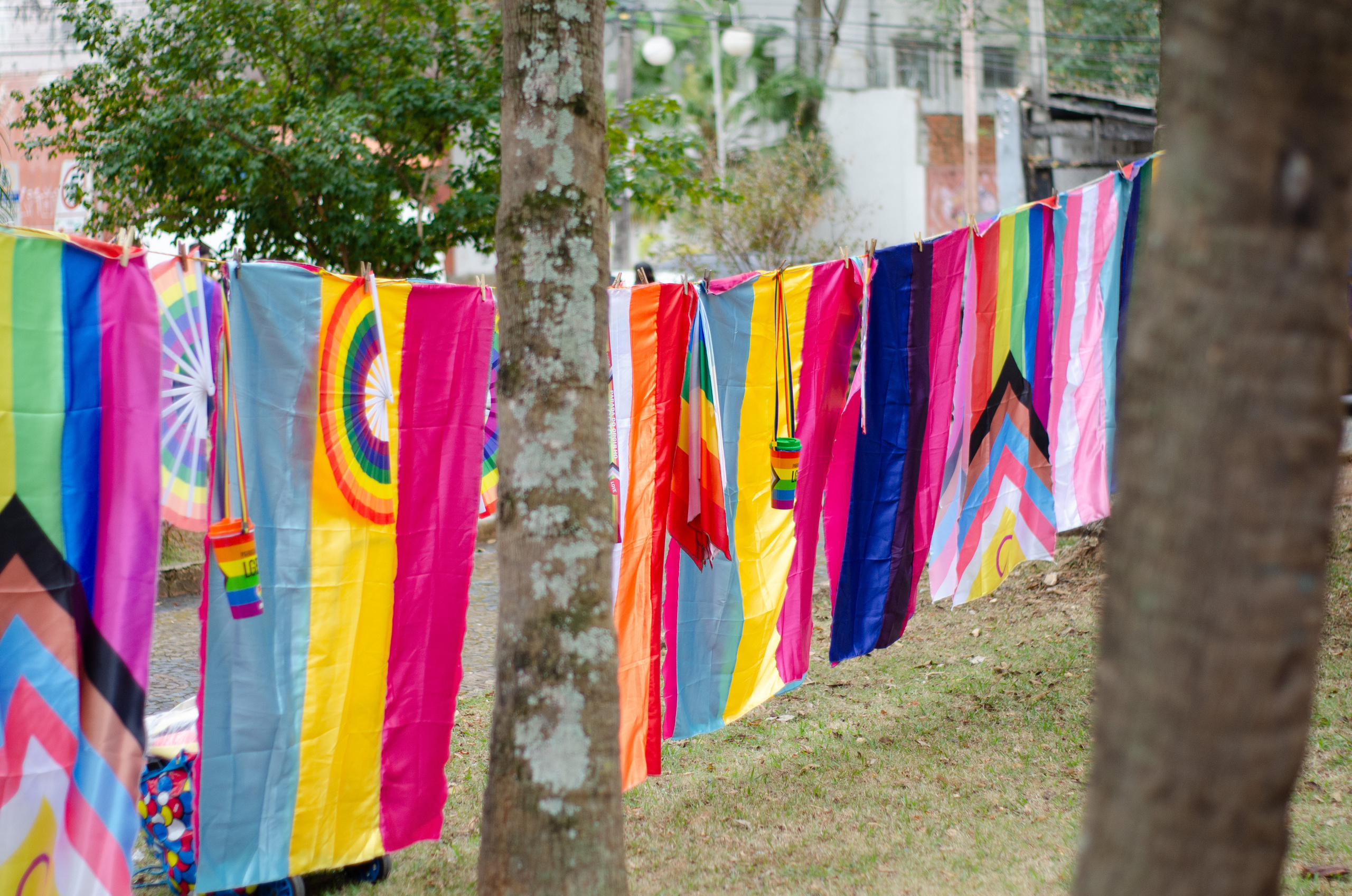 Parada LGBTQA+. Fotógrafo | Sessão de fotos