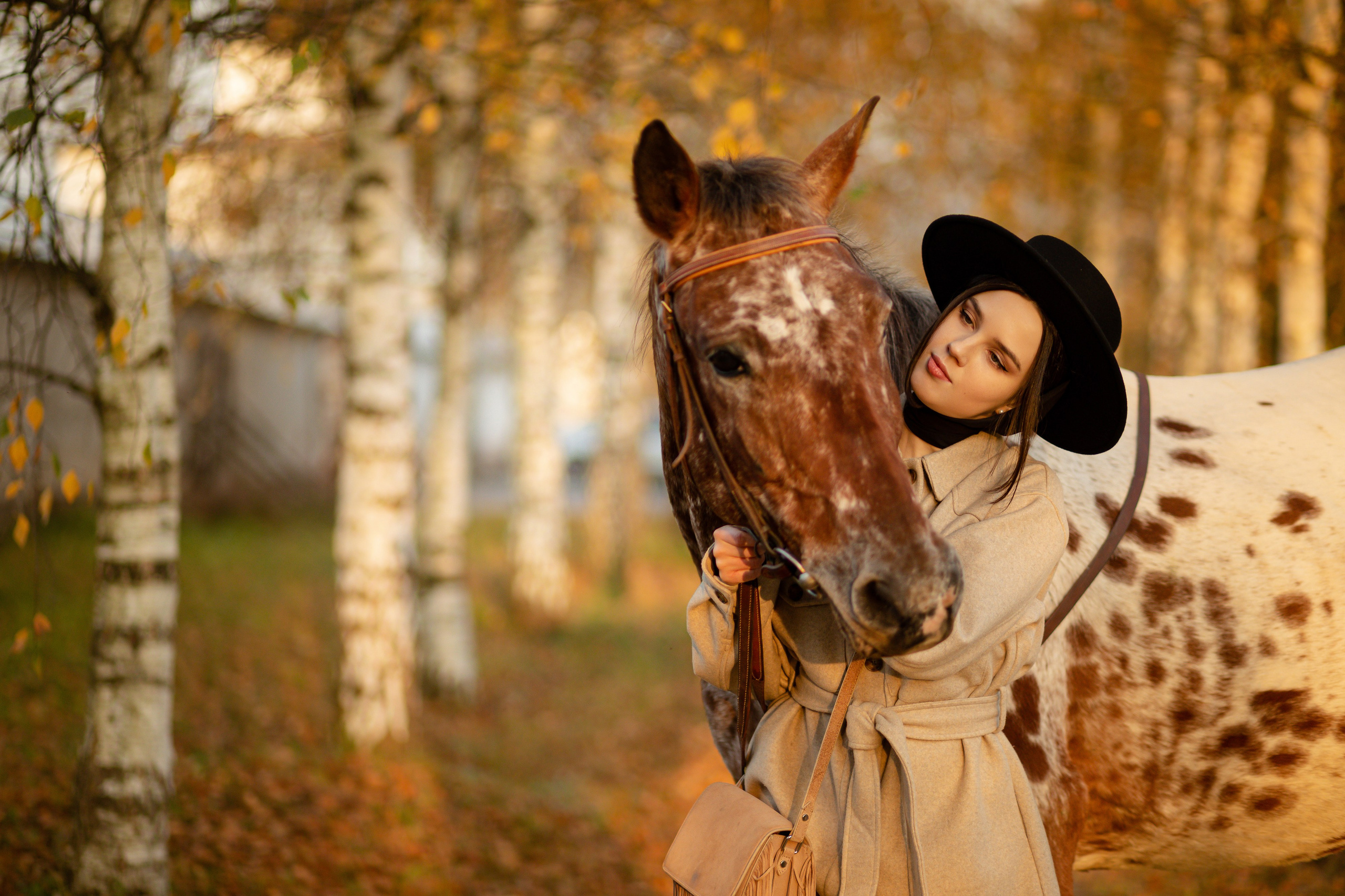 Девушка обнимает за шею лошадь на фоне березовой рощи.