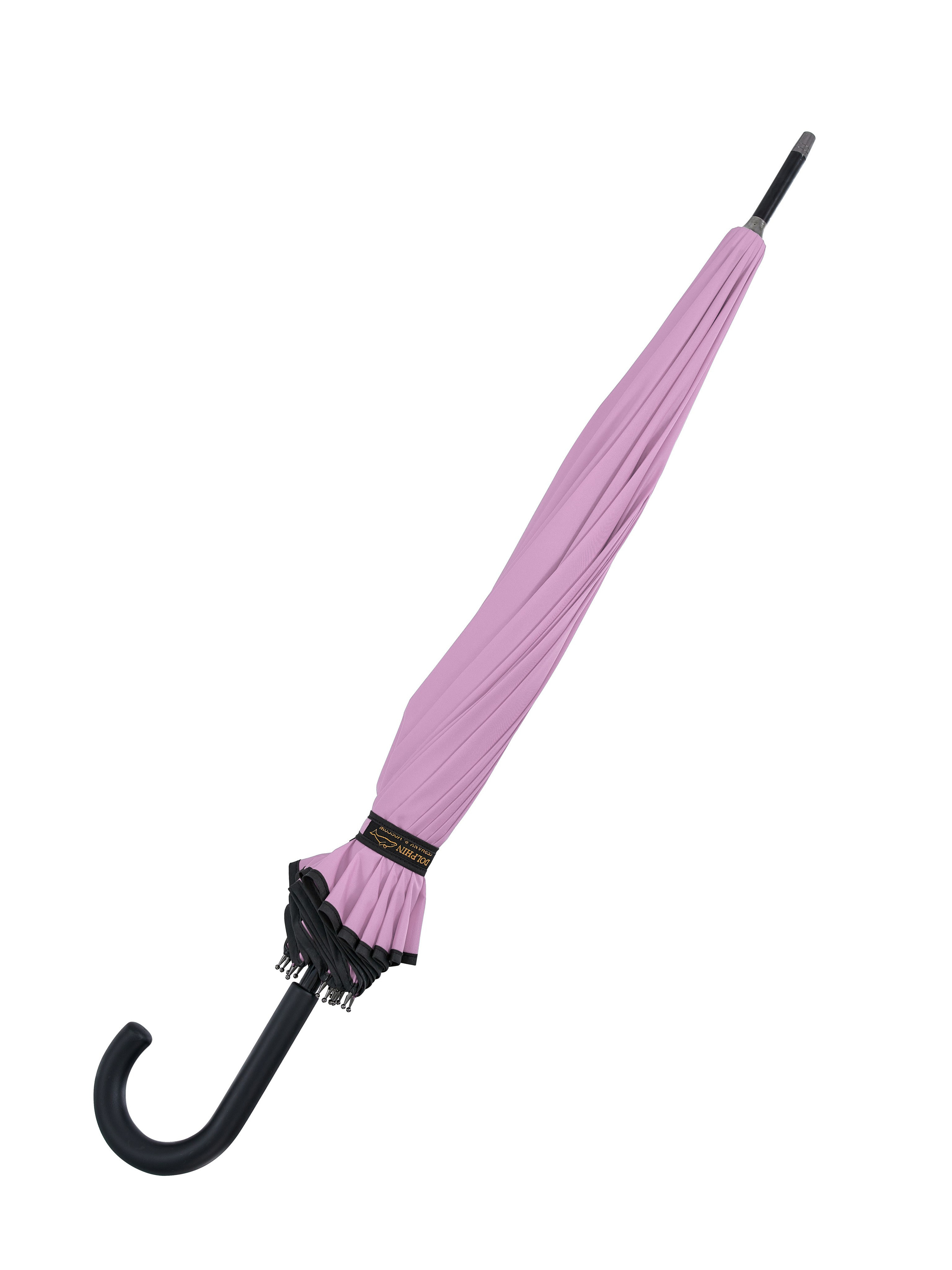 Dolphin. Zubkov Jan Hochzeitsfotograf Deutschland