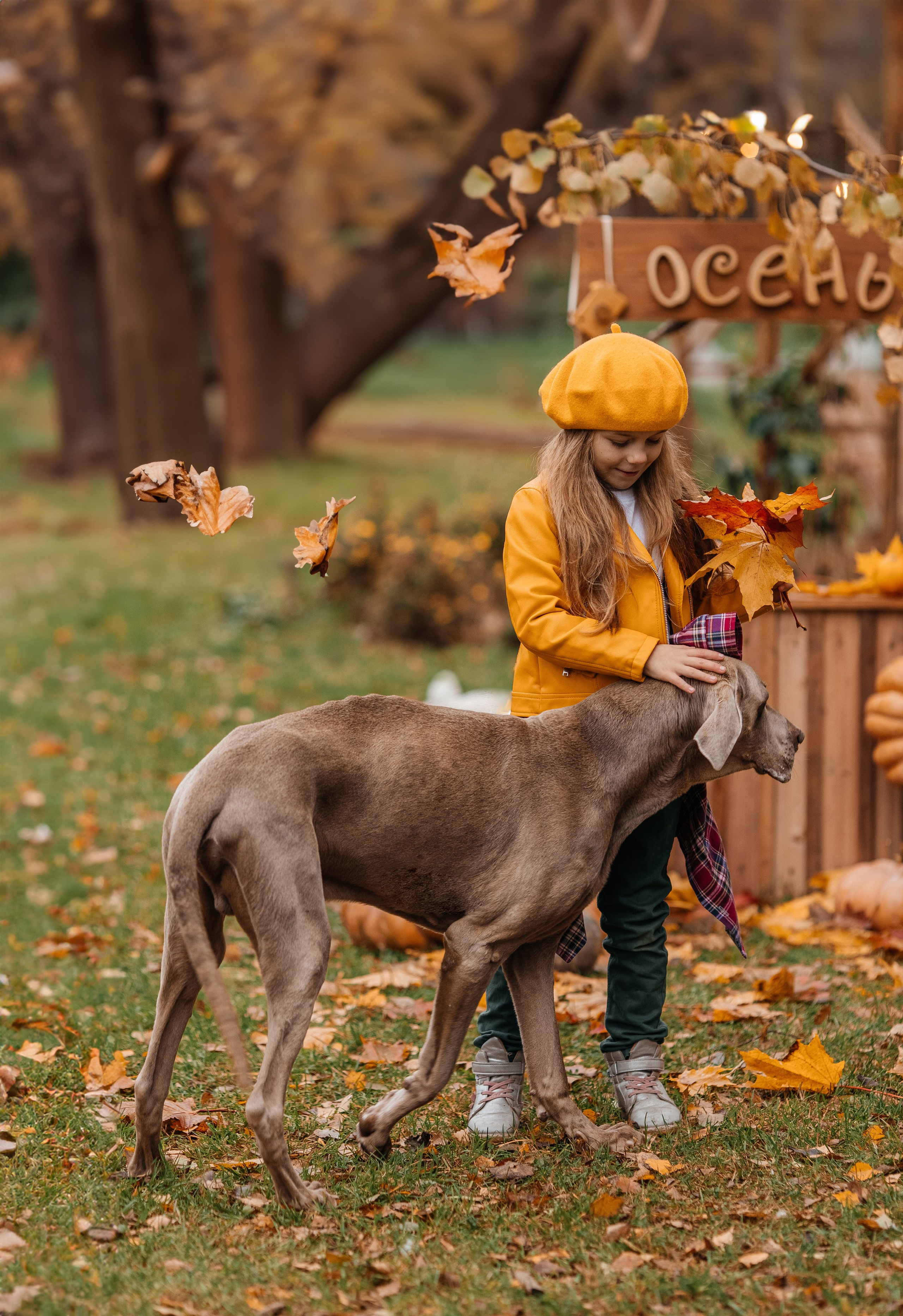 Осенний фотопроект. Детский и семейный фотограф в Санкт-Петербурге и области Никова Вика