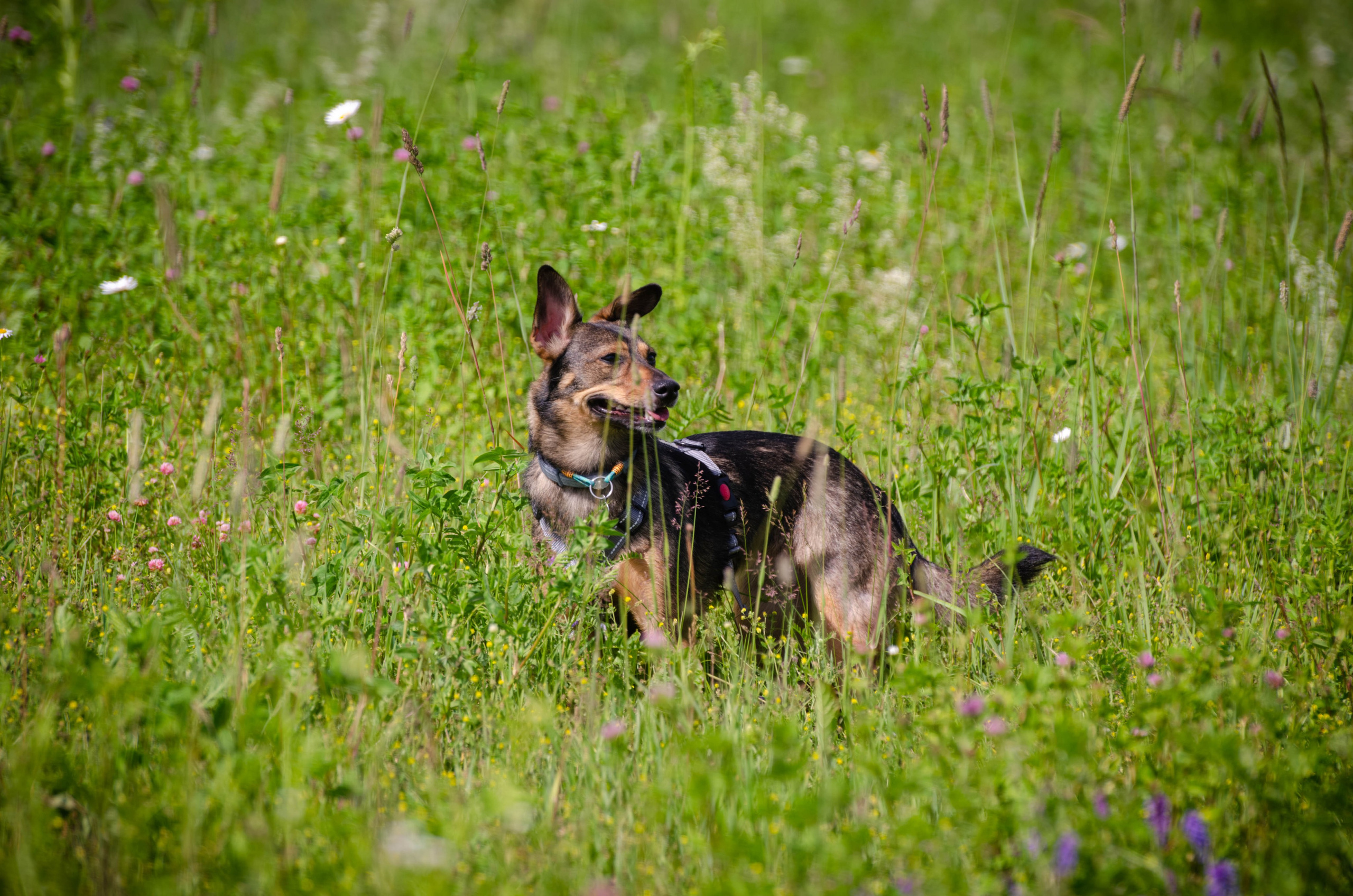 Прогулка (Лохин остров). Фотограф Светлана Блинова, Москва и Московская область