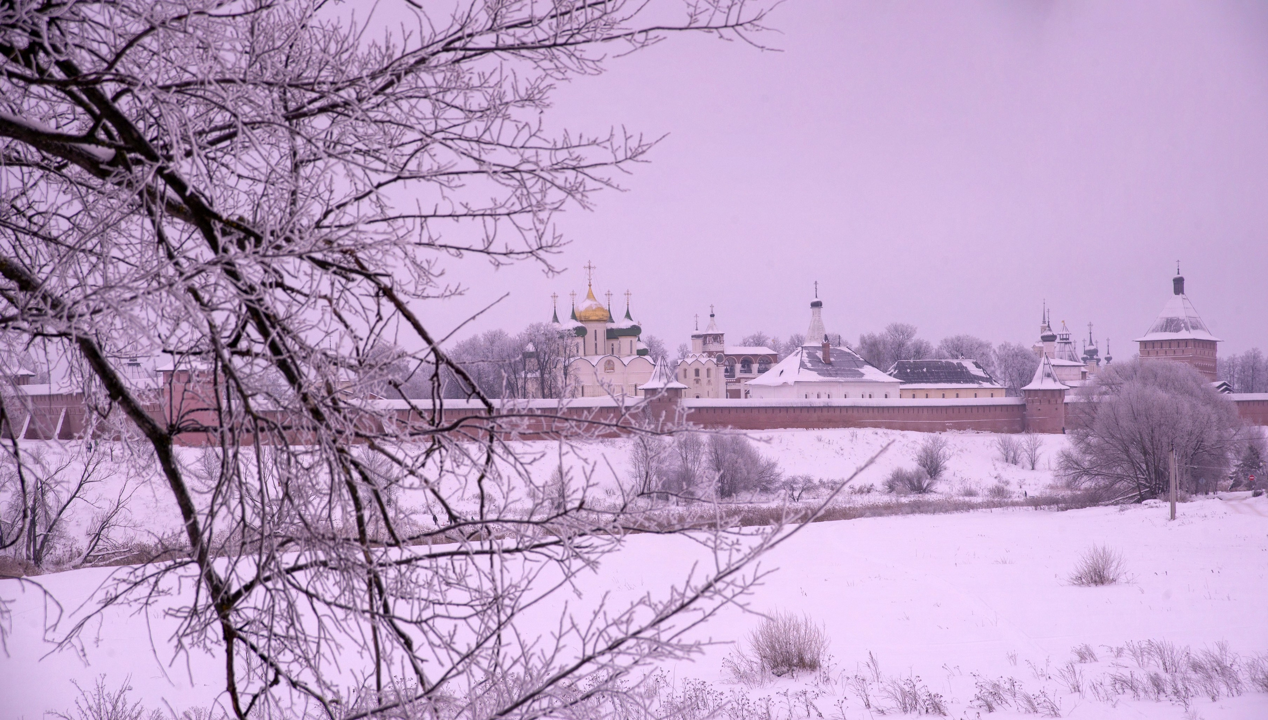 Суздаль. Январь 2022. Игорь Жучков. Россия увиденная глазами путешествующего фотографа