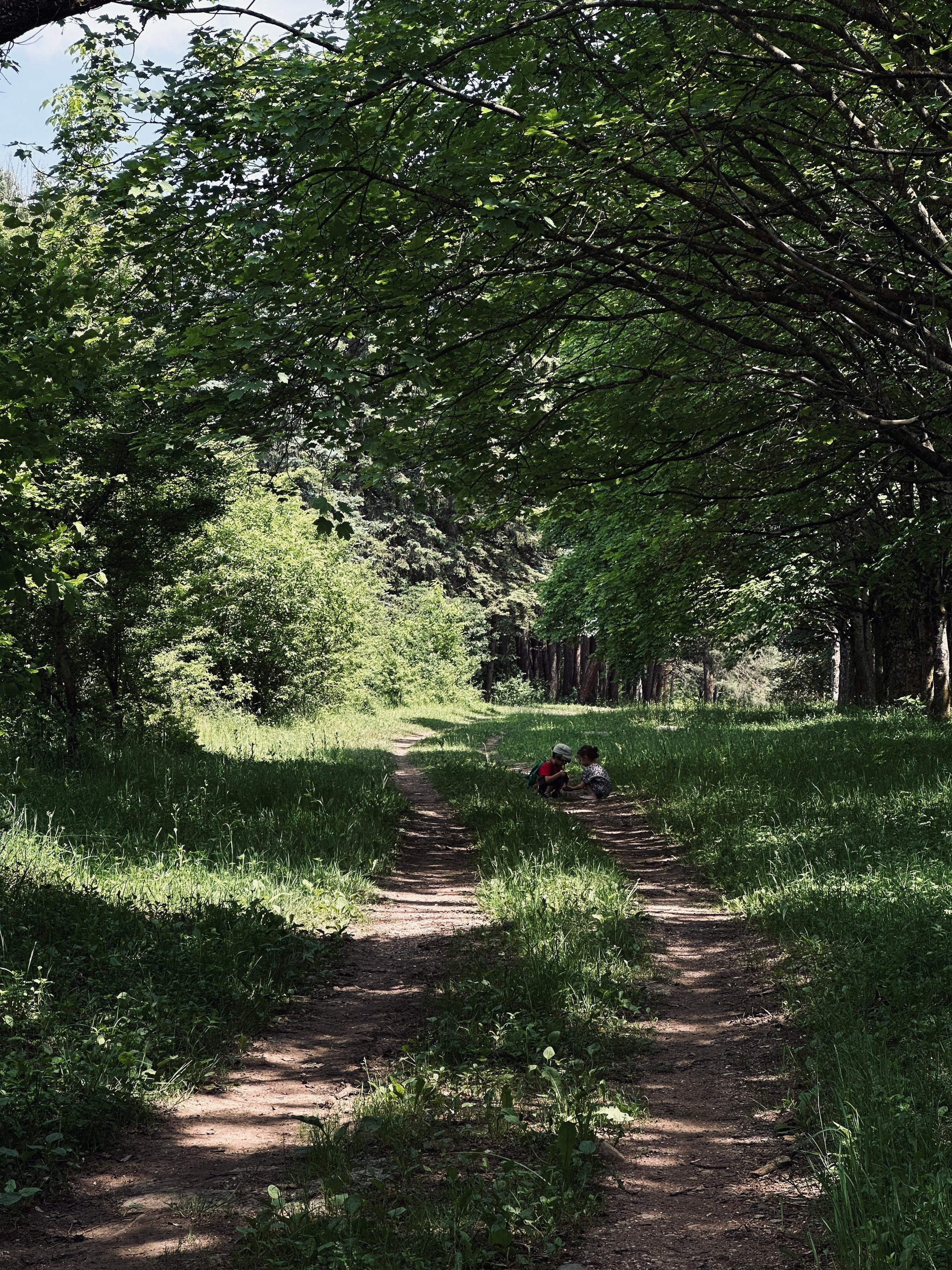 Дети. Смотри, красота!