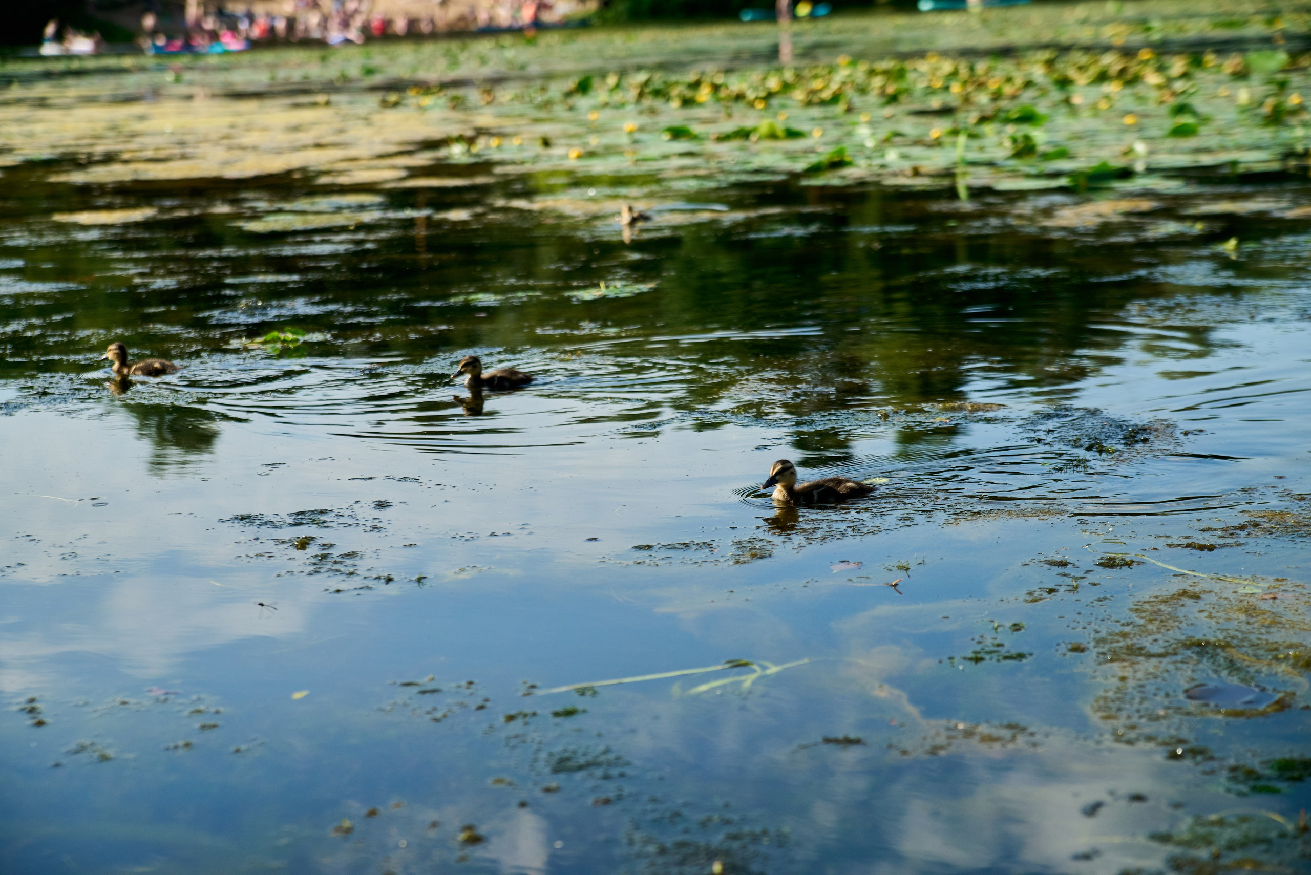 All-hands Третье Мнение 2025. Елизавета Мальгина, фотограф в Москве