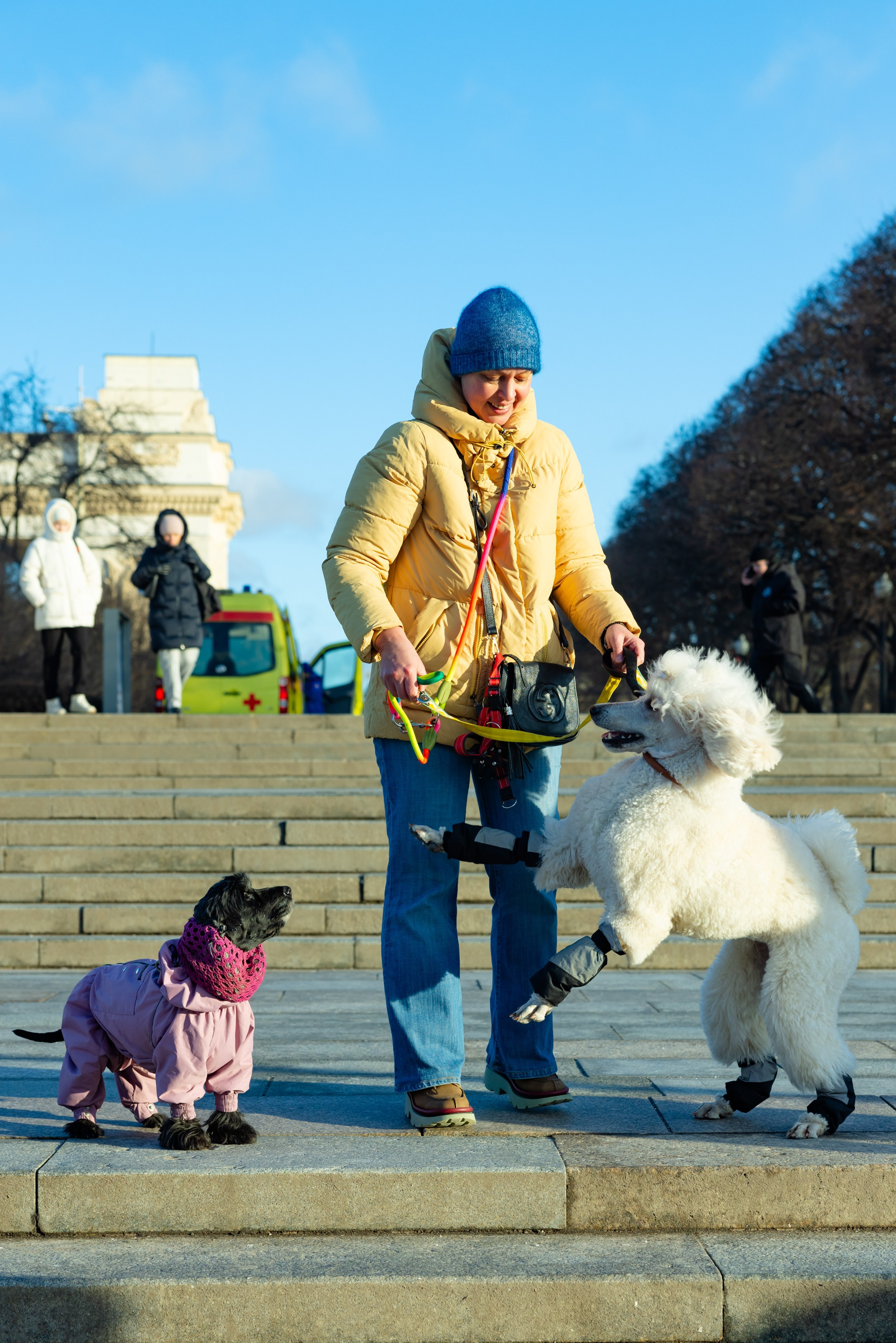 Клуб грумеров (прогулка и семинары). Виктория Зудина — фотограф в Москве