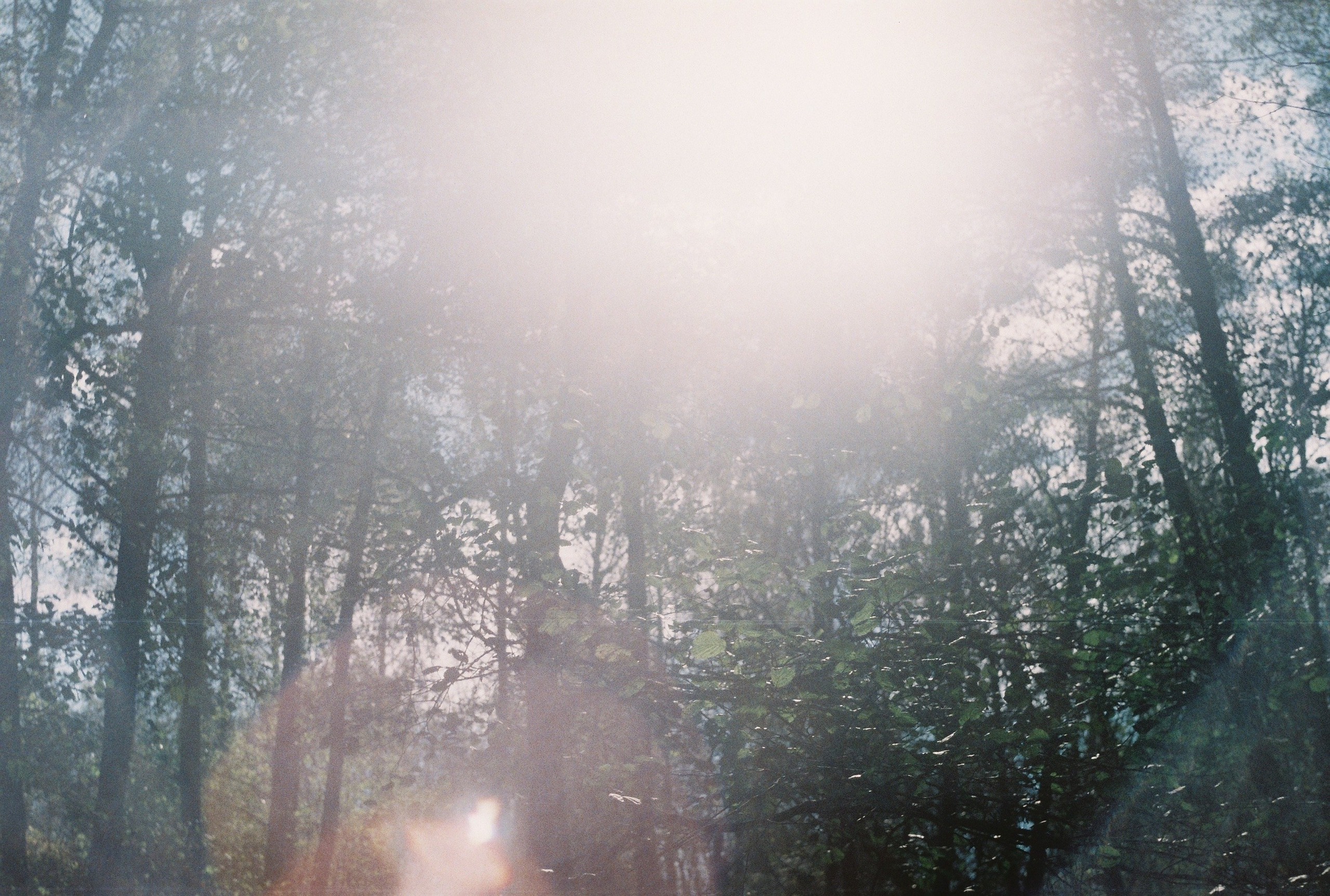 KALUGA. ANNA — PHOTOGRAPHER