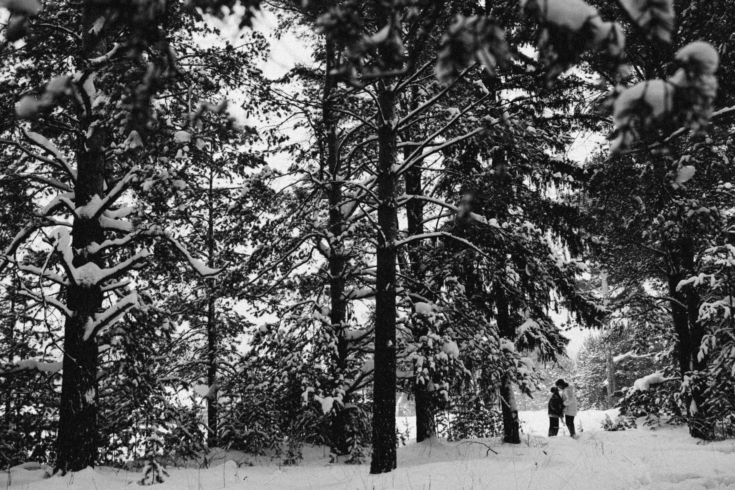 Саша и Маша. Семейный свадебный фотограф Семен Егоров