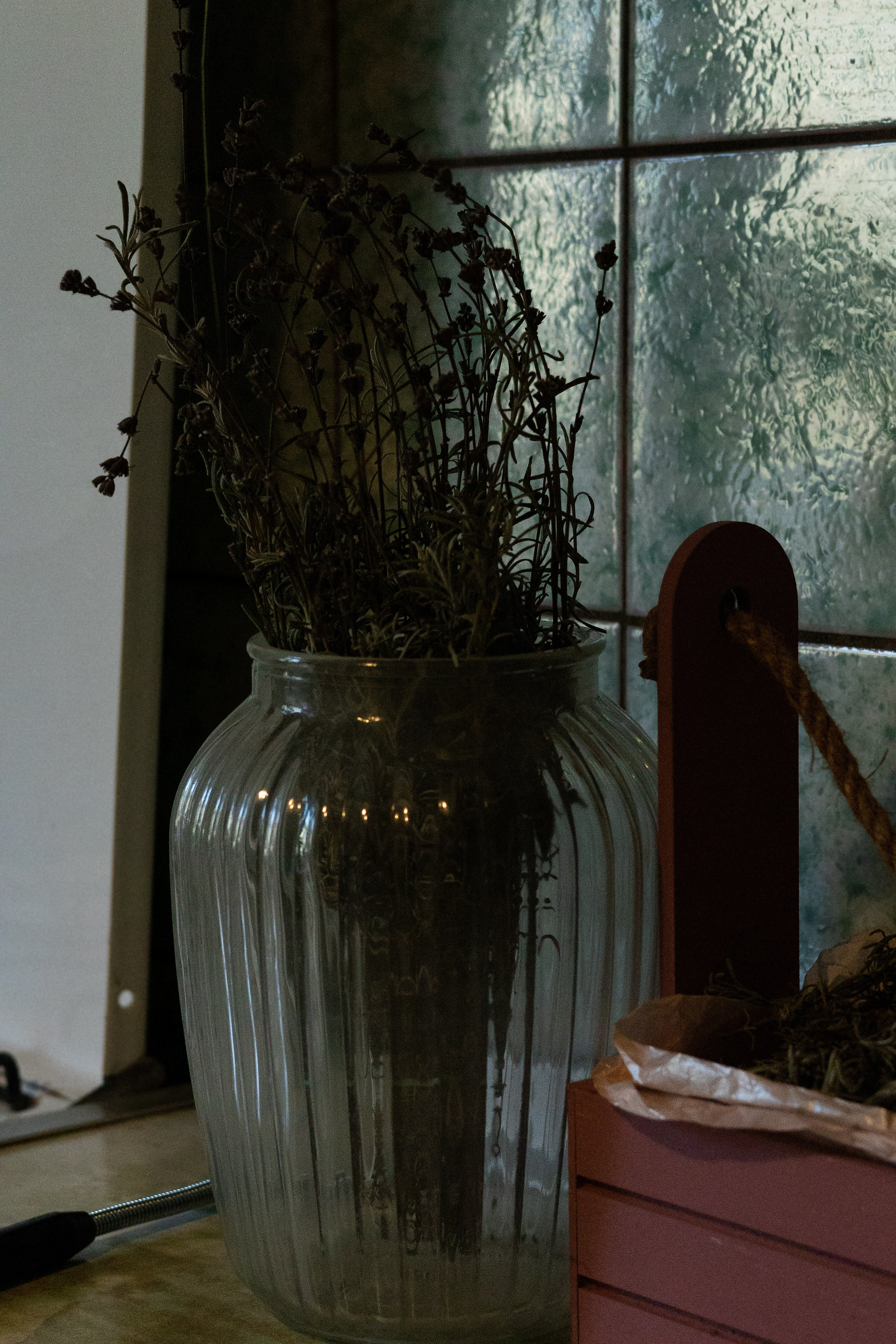 Домашняя фотосессия Даша. Портретный фотограф в Нижнем Новгороде Елена Ханова