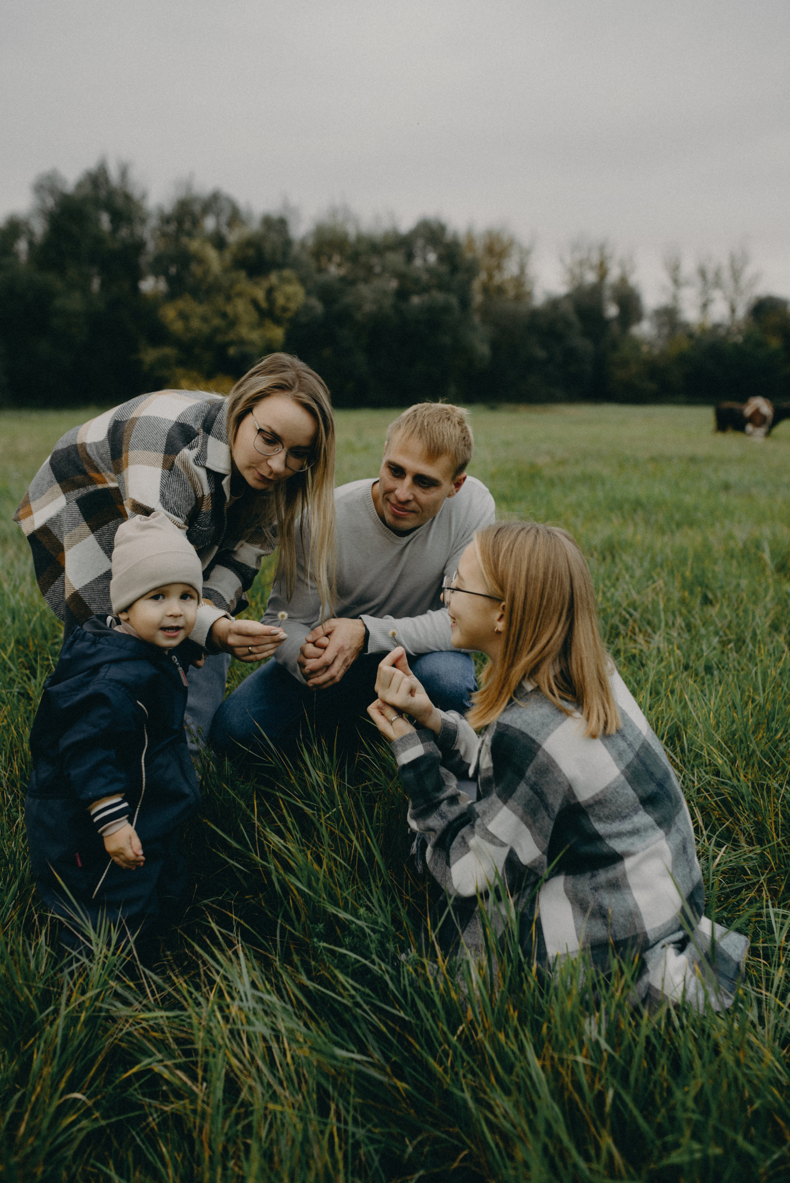 Коровка мууу. Фотограф Алексин, Тула