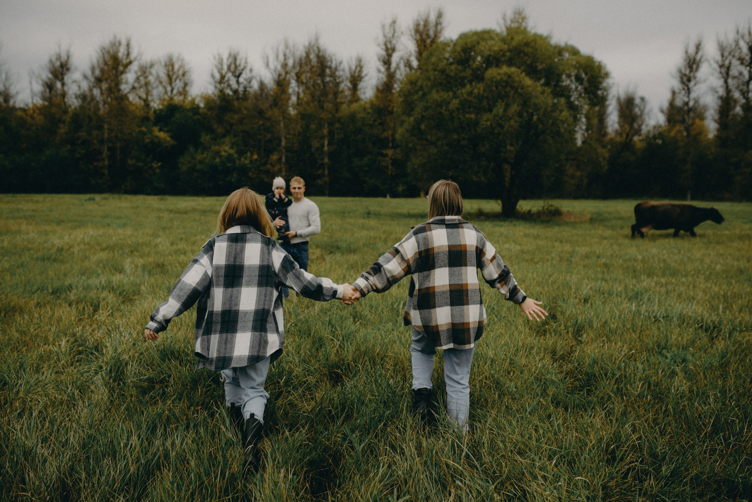 Коровка мууу. Фотограф Алексин, Тула
