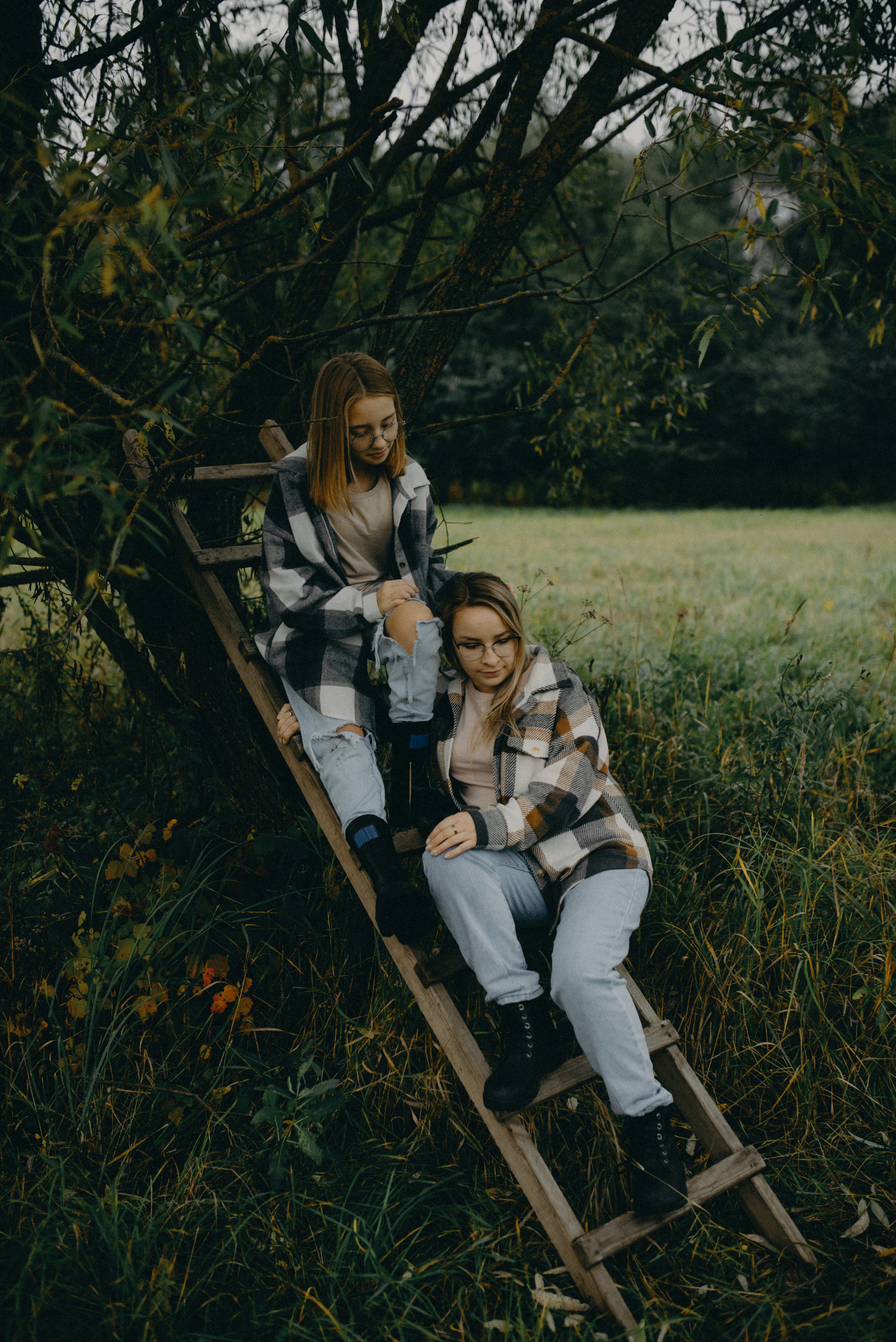 Коровка мууу. Фотограф Алексин, Тула