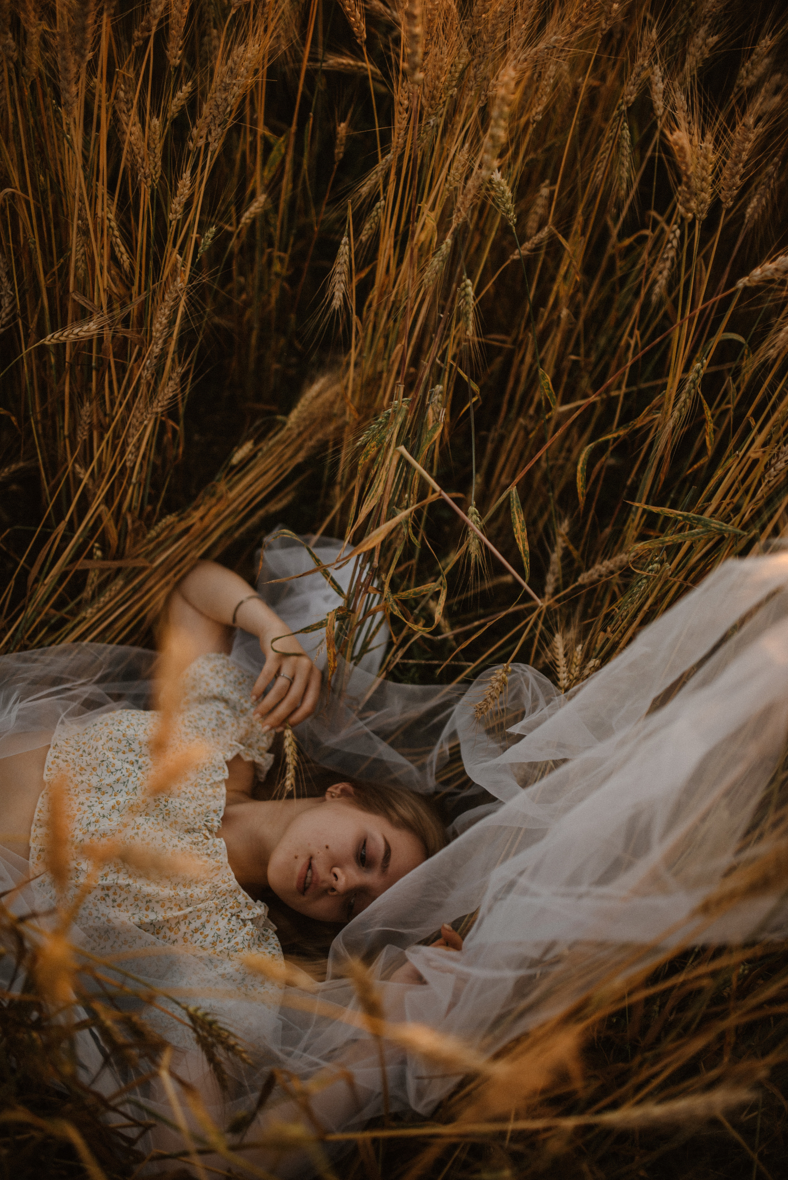 Волшебная, закатная история. Фотограф Алексин, Тула