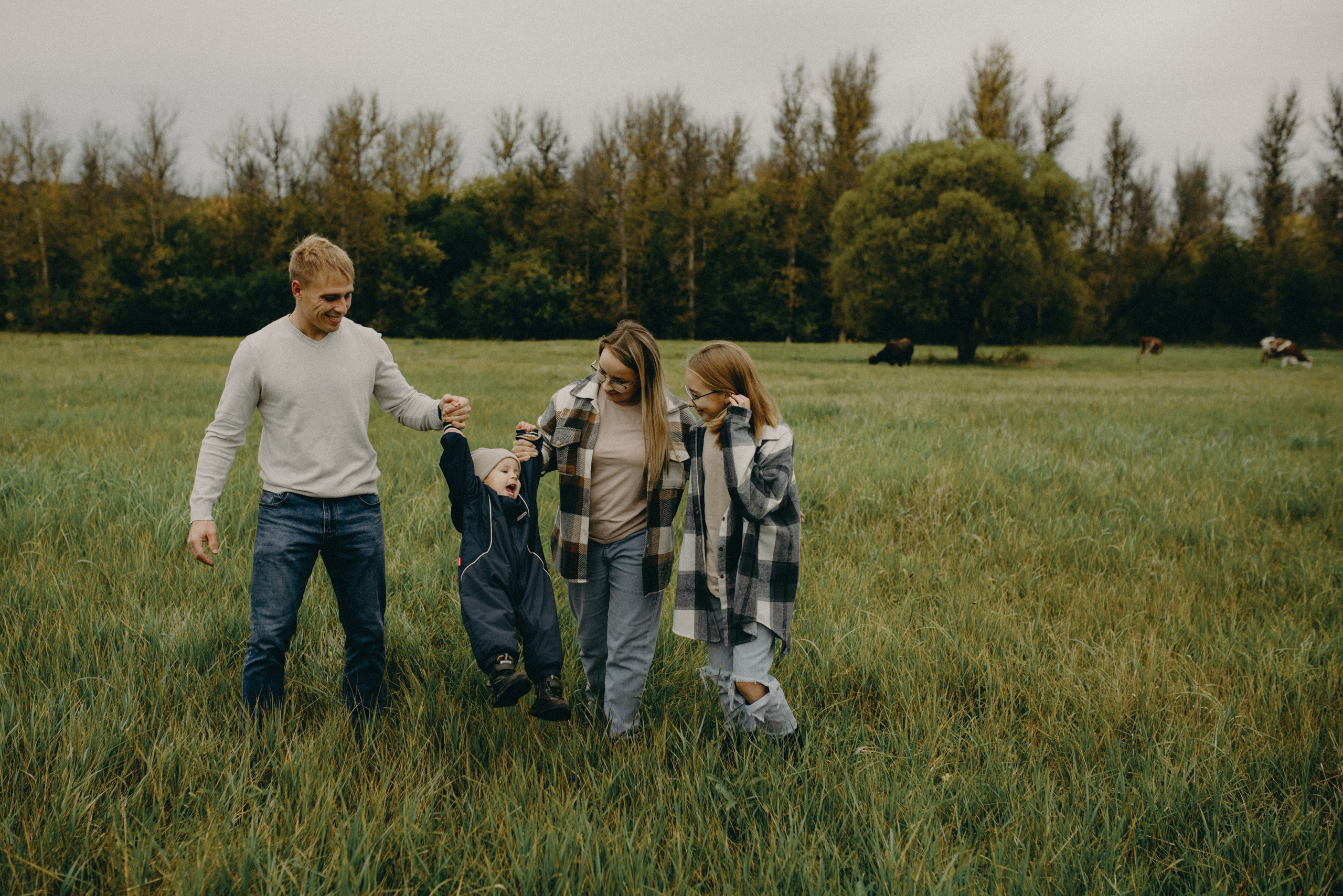 Коровка мууу. Фотограф Алексин, Тула