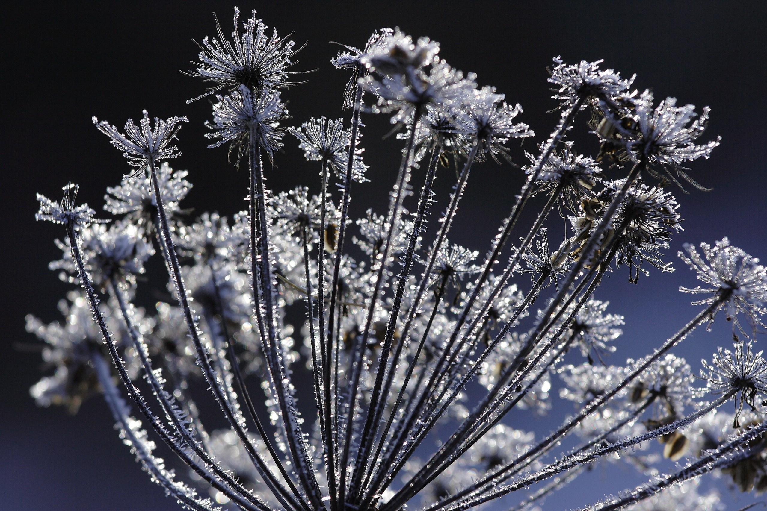 Живописные фотографии природы. Фотограф в Москве и Подмосковье, Николай Сорокин