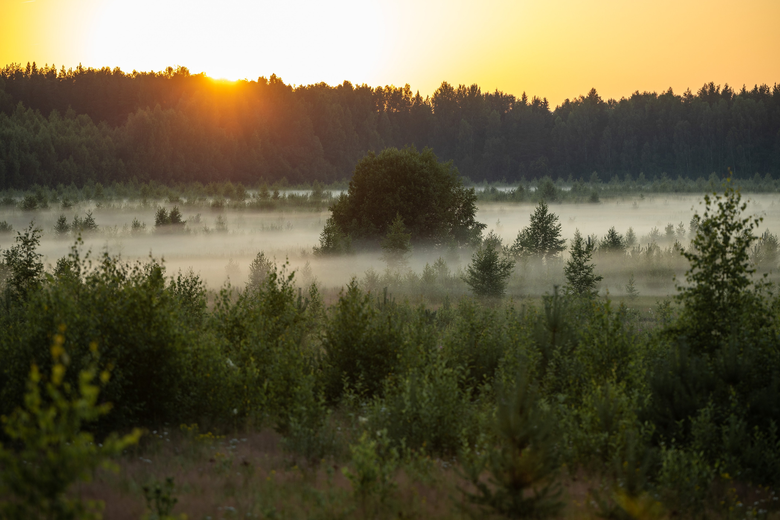 Природные пейзажи. Наталия Клевинскас портретный фотограф в Костроме