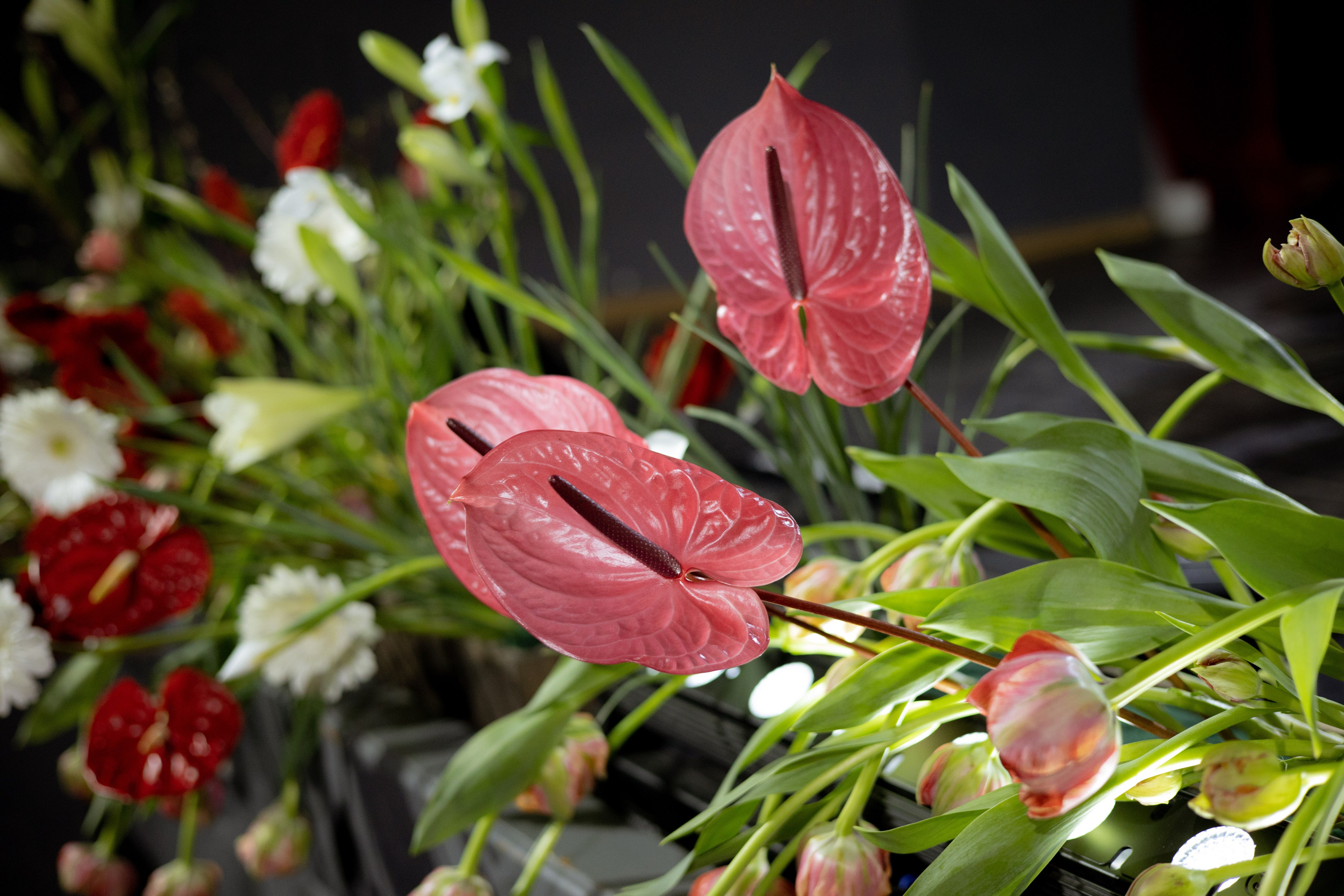 Оформление Отчетного концерта Музыкальной школы Глазунова. Оформление свадеб, декор свадеб Вера Маркова, Москва