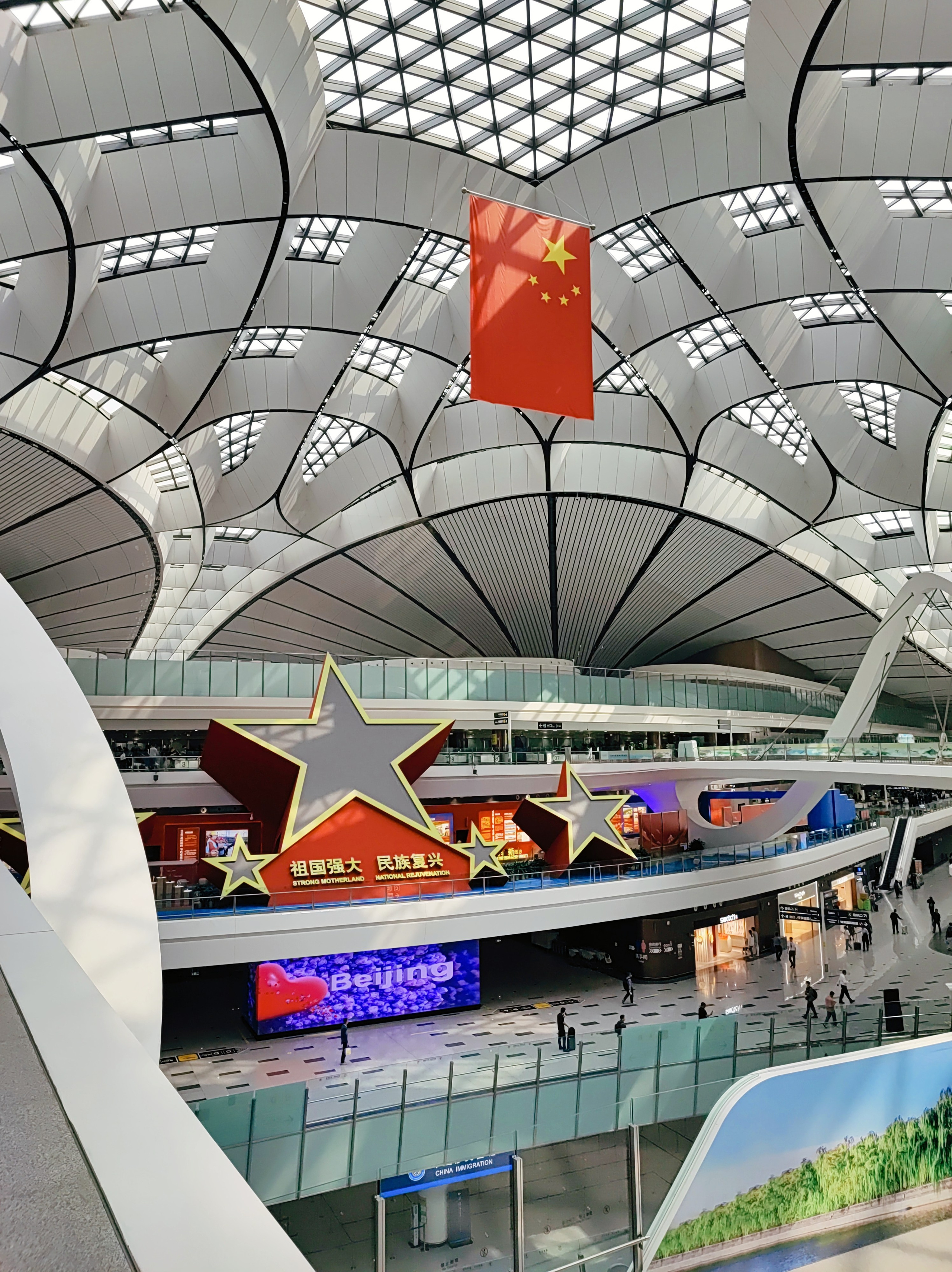 Намобилкус китайский. Репортажный фотограф Алексей Пирязев