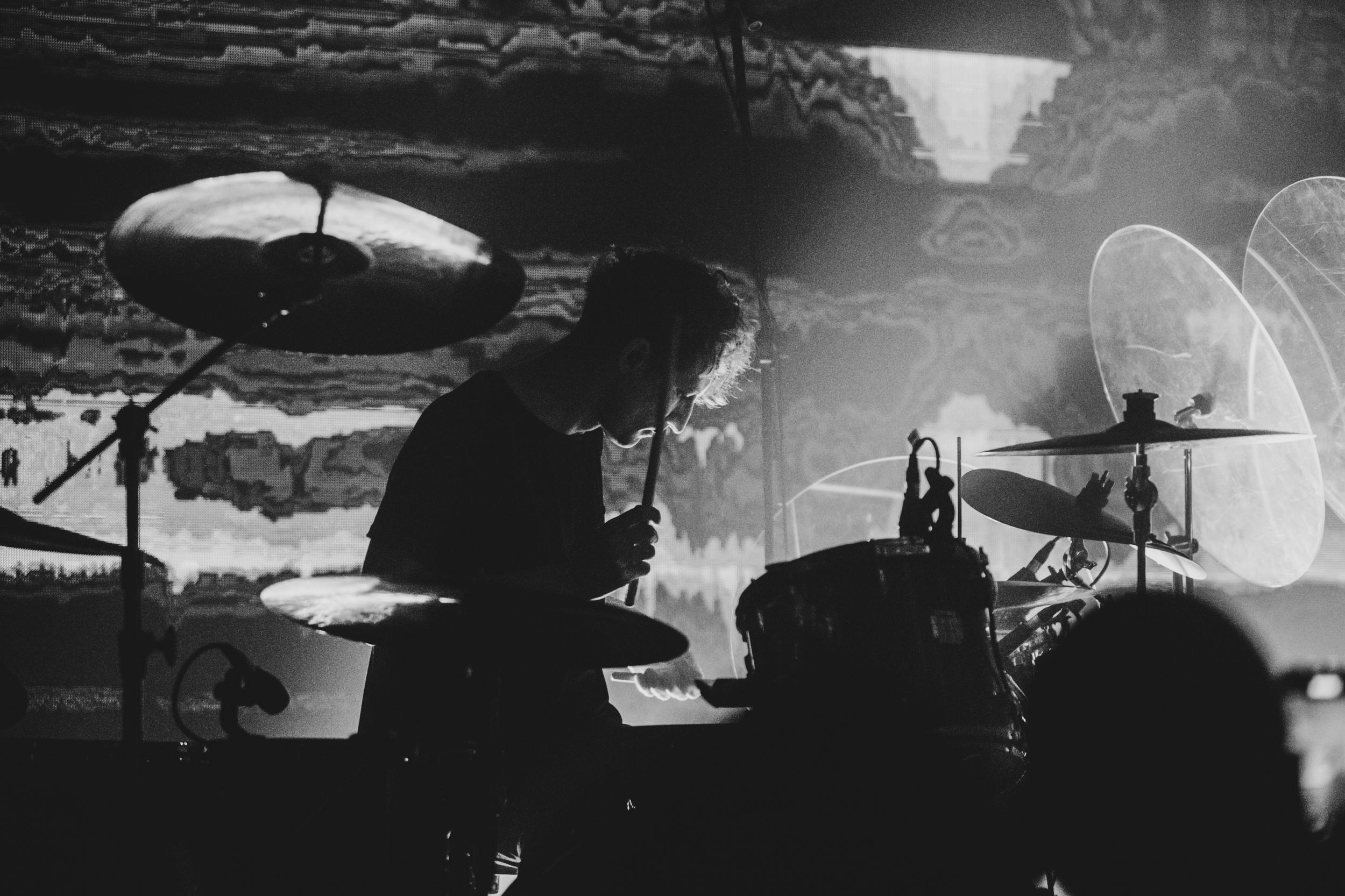 Дельфин. Репортажный фотограф Алексей Пирязев