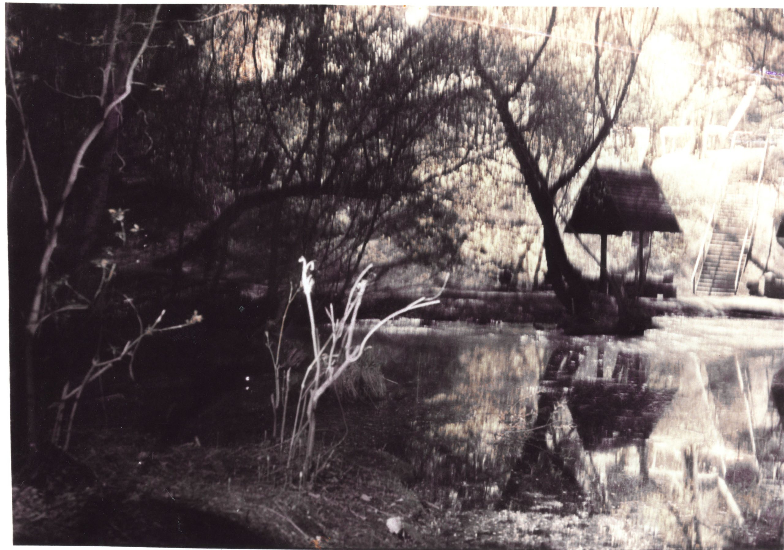 Фотограф Ольга Дурнова