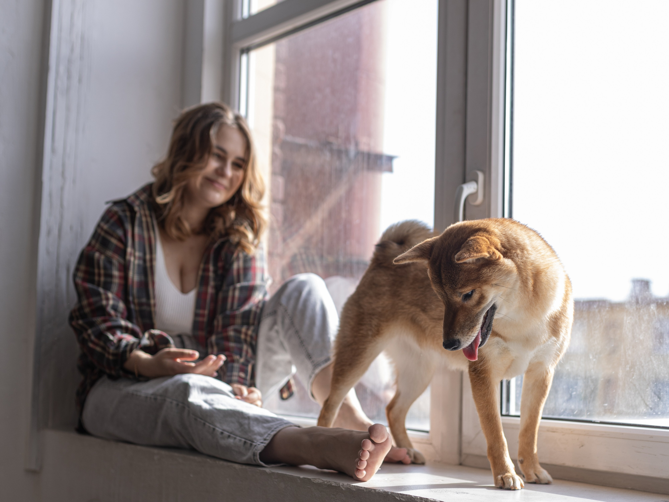 Мика и Настя. Фотограф-анималист в Москве Кириллова Татьяна