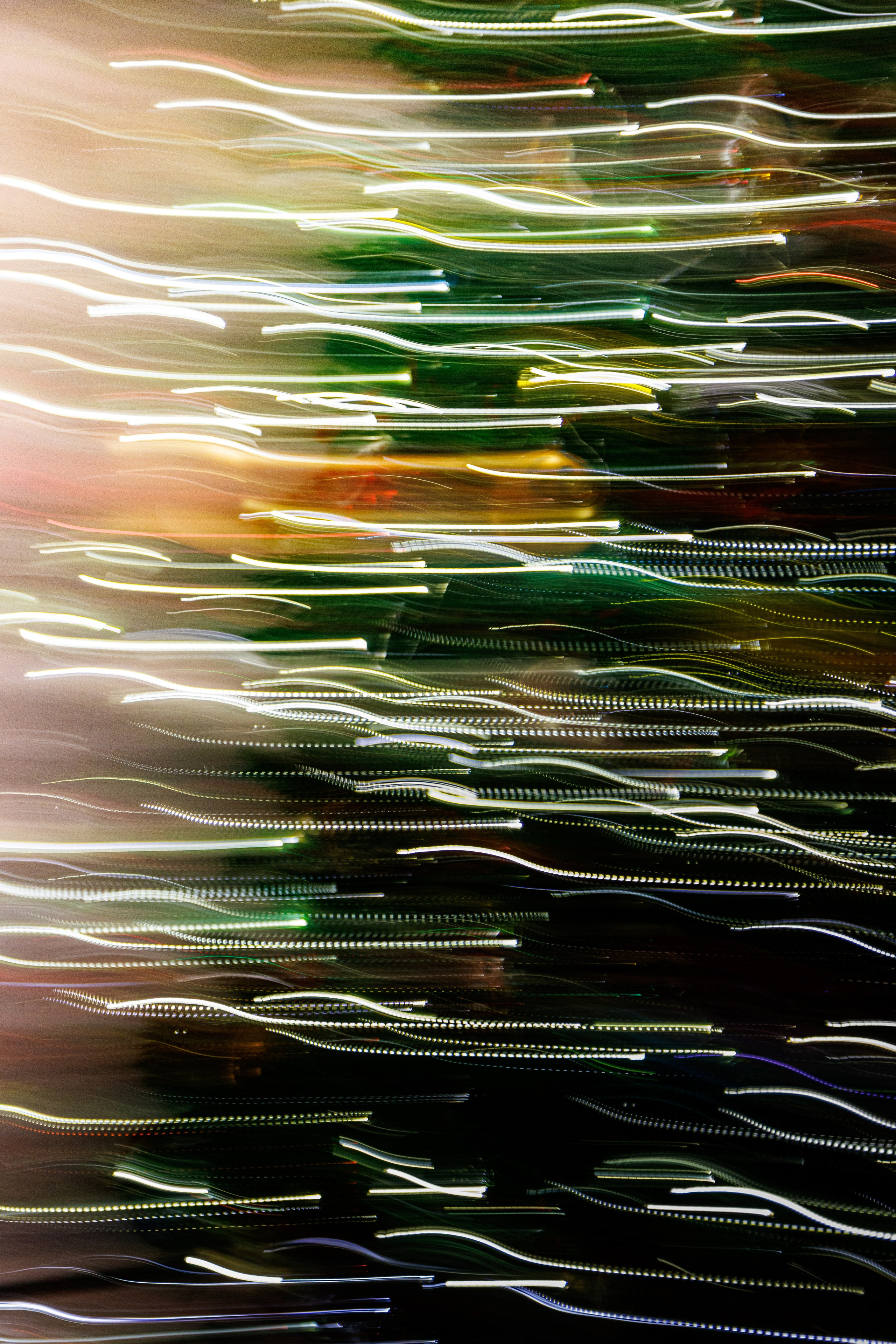 Природа 31 Декабря 2025 года. Клены. Фотографирую жизнь! Московский фотограф волонтер