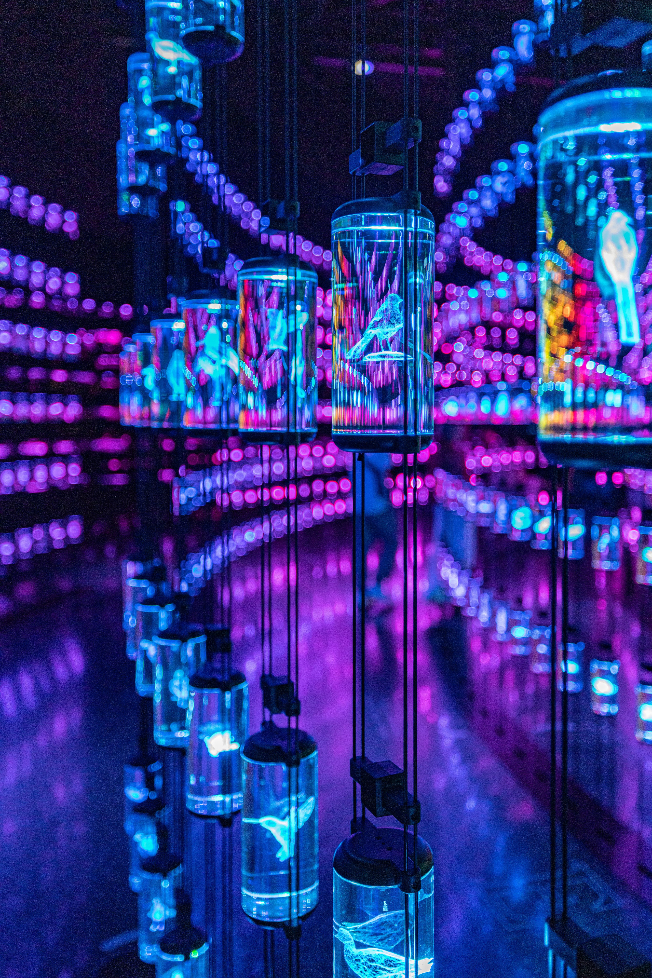 Новогодняя поездка в Дубай. Фотографирую жизнь! Московский фотограф волонтер