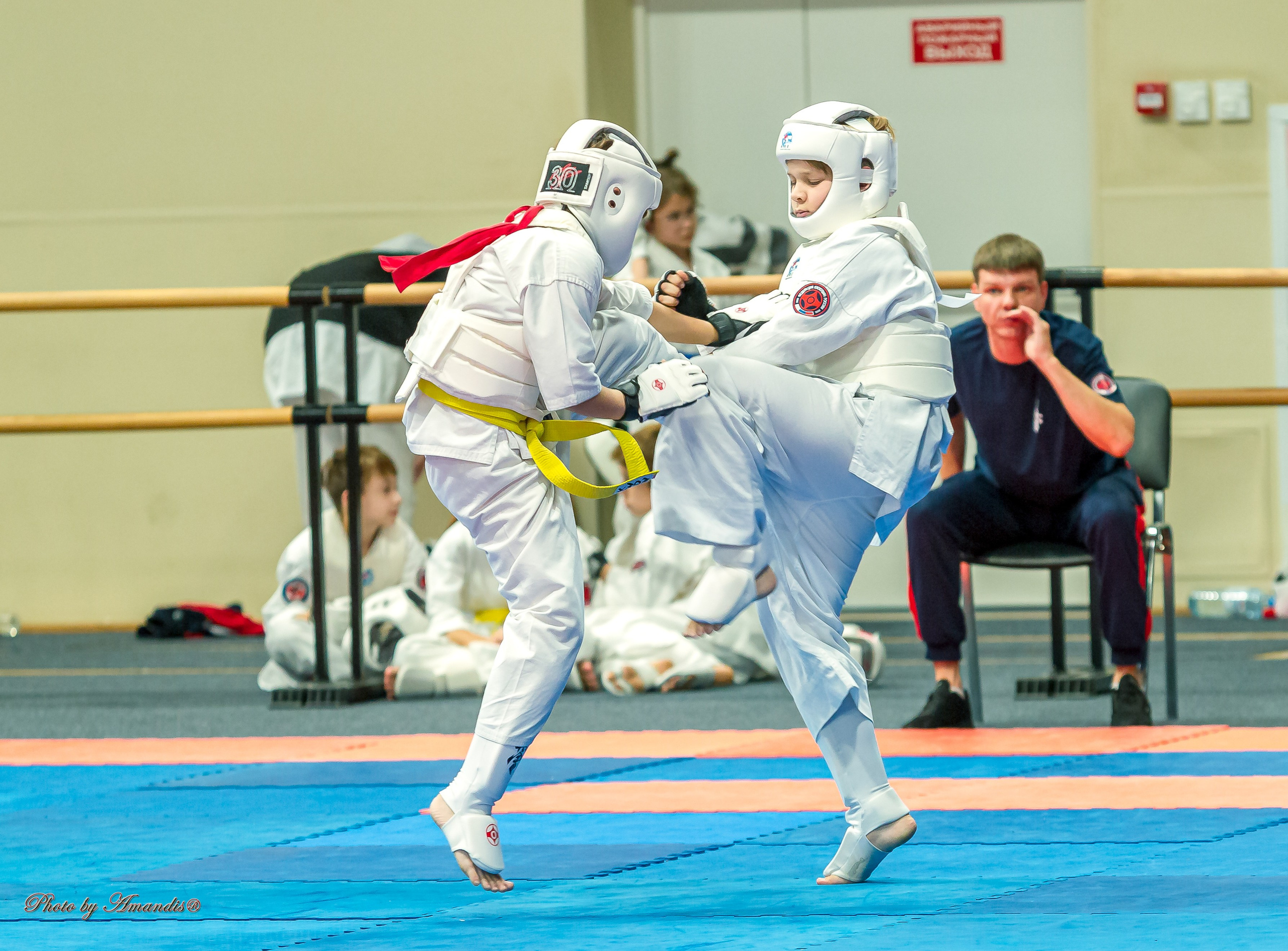Первенство Московской области по Киокушин в СК «Жаворонки». Репортажная съемка в Москве и области. Анималистика