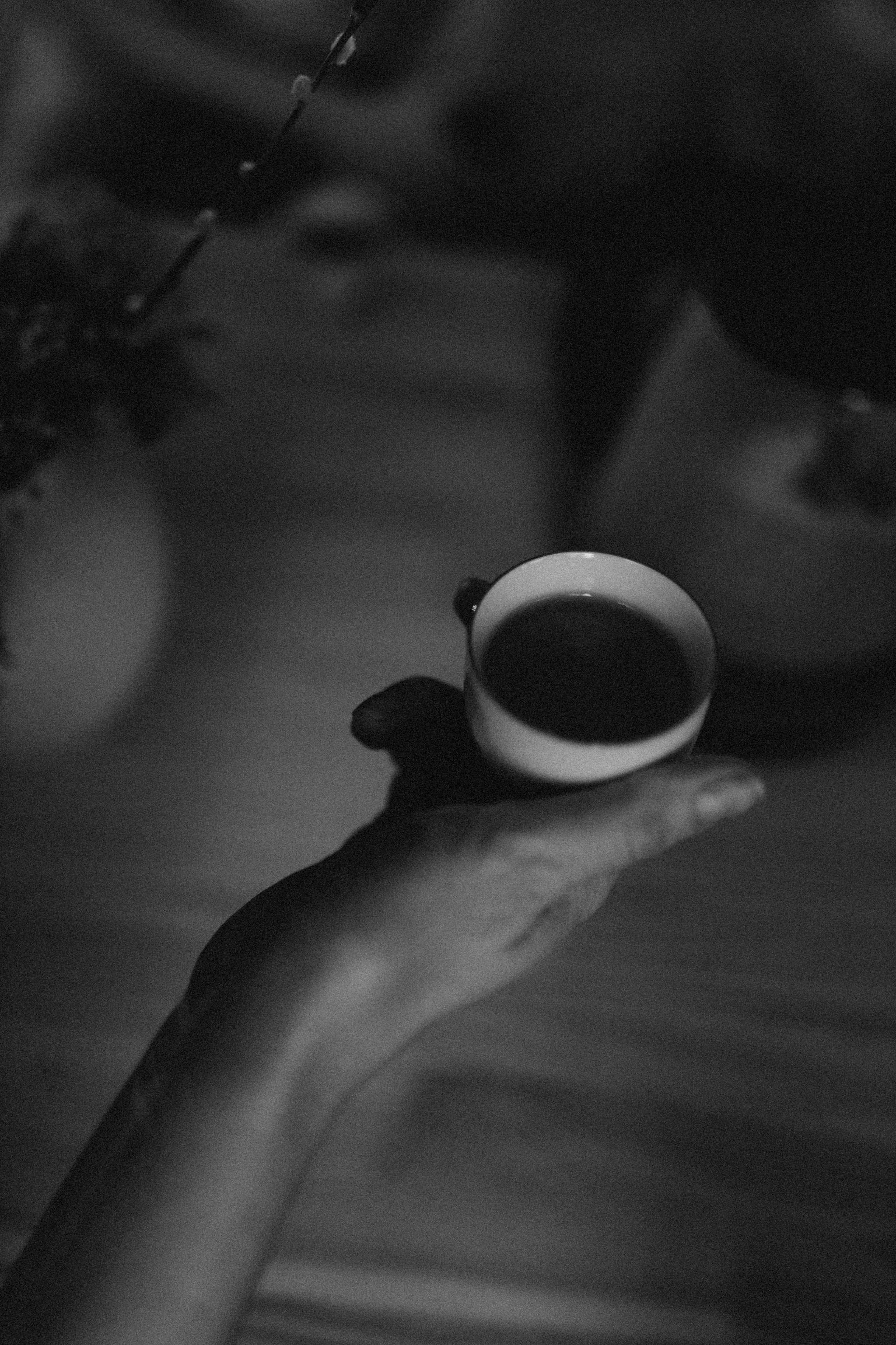 Контент для мастера чайной церемонии/гвоздестояние. Фотограф НОГИНСК, Москва, Анастасия Белая