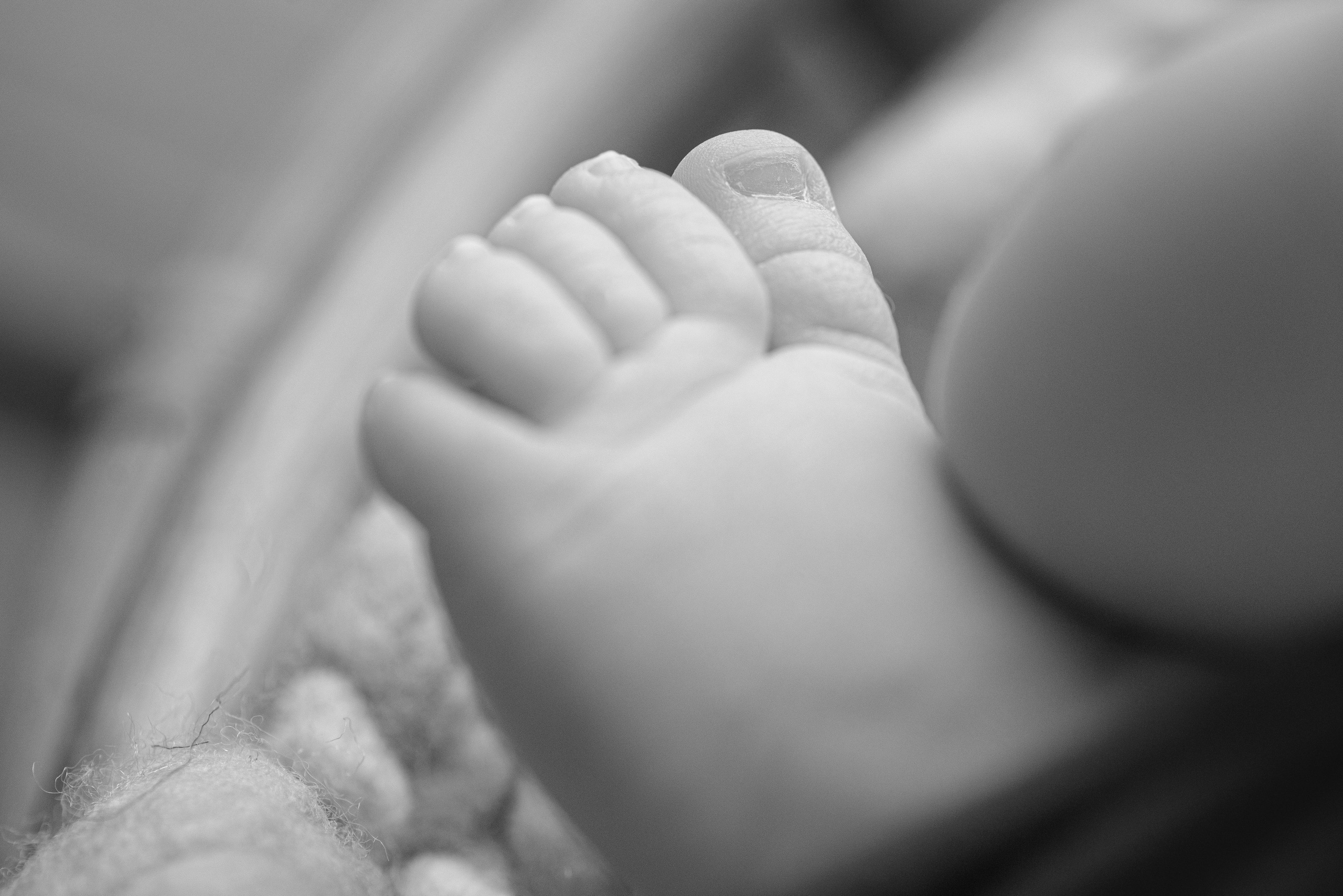 Макро. Фотограф Новорожденных во Владивостоке Ольга Галаницкая