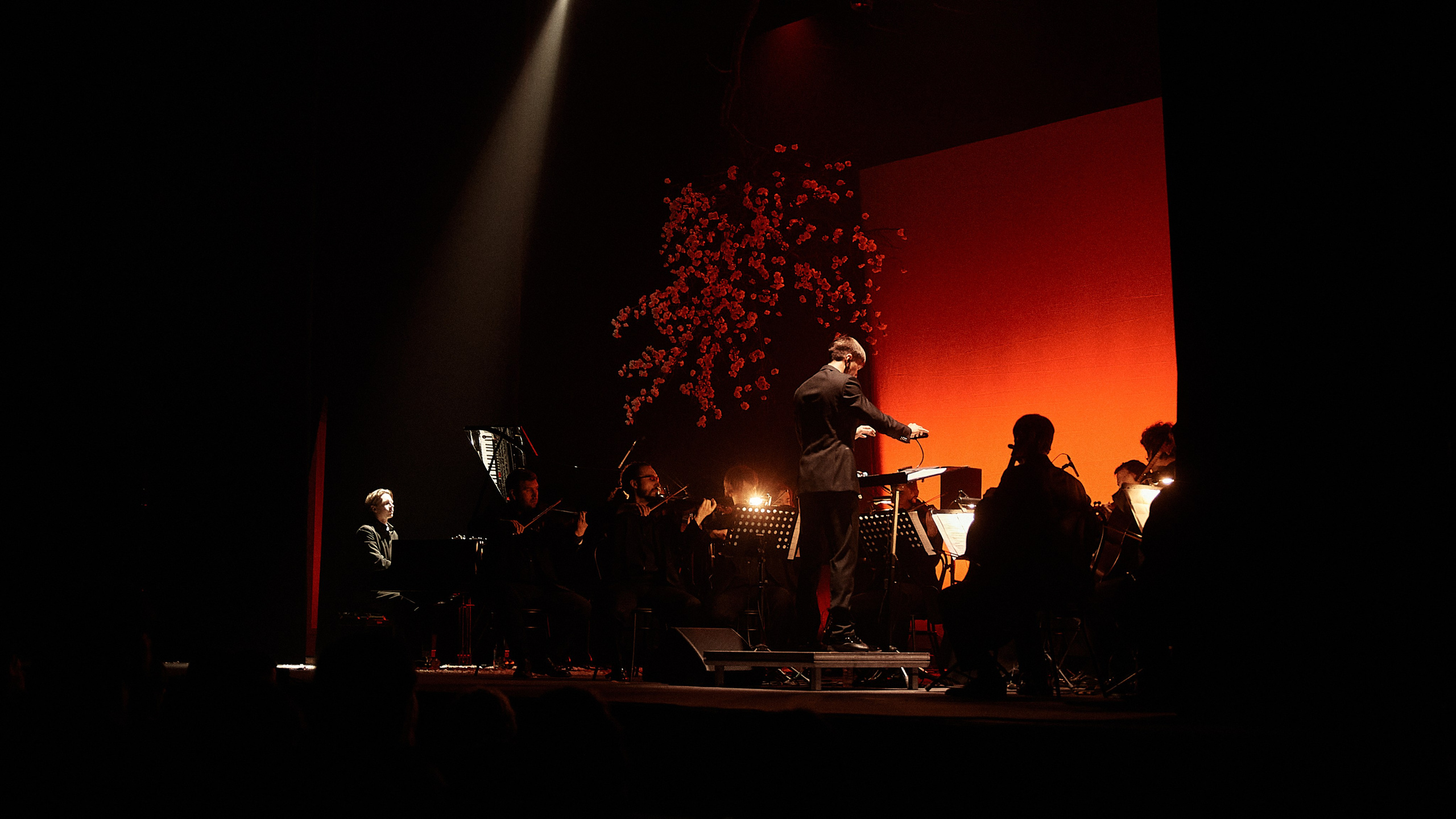 Никола Мельников / 2024. OOPS