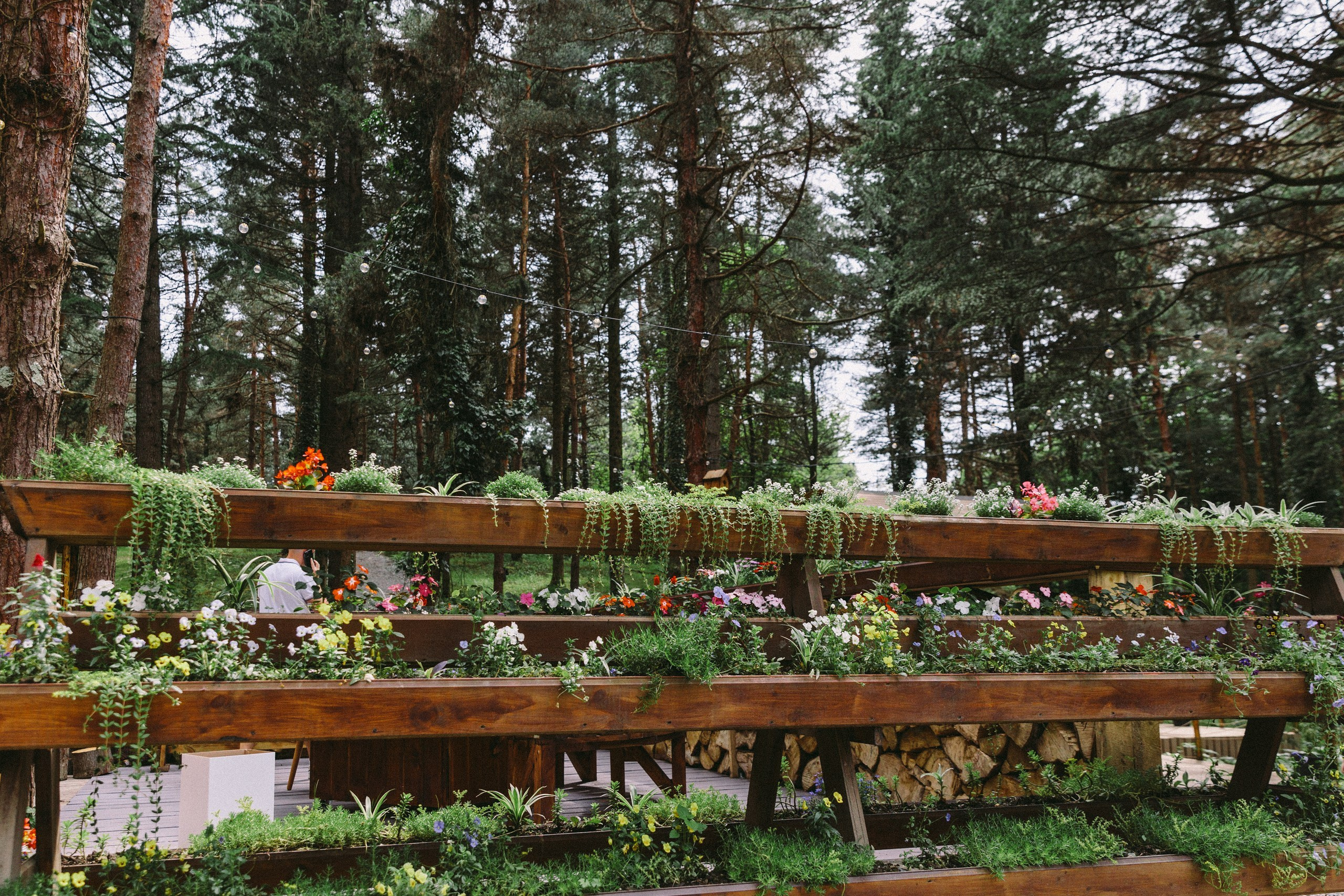 Фотограф на день рождения — ресторан Форест. Свадебный фотограф в Абхазии, Сухум, Гагра, Сочи