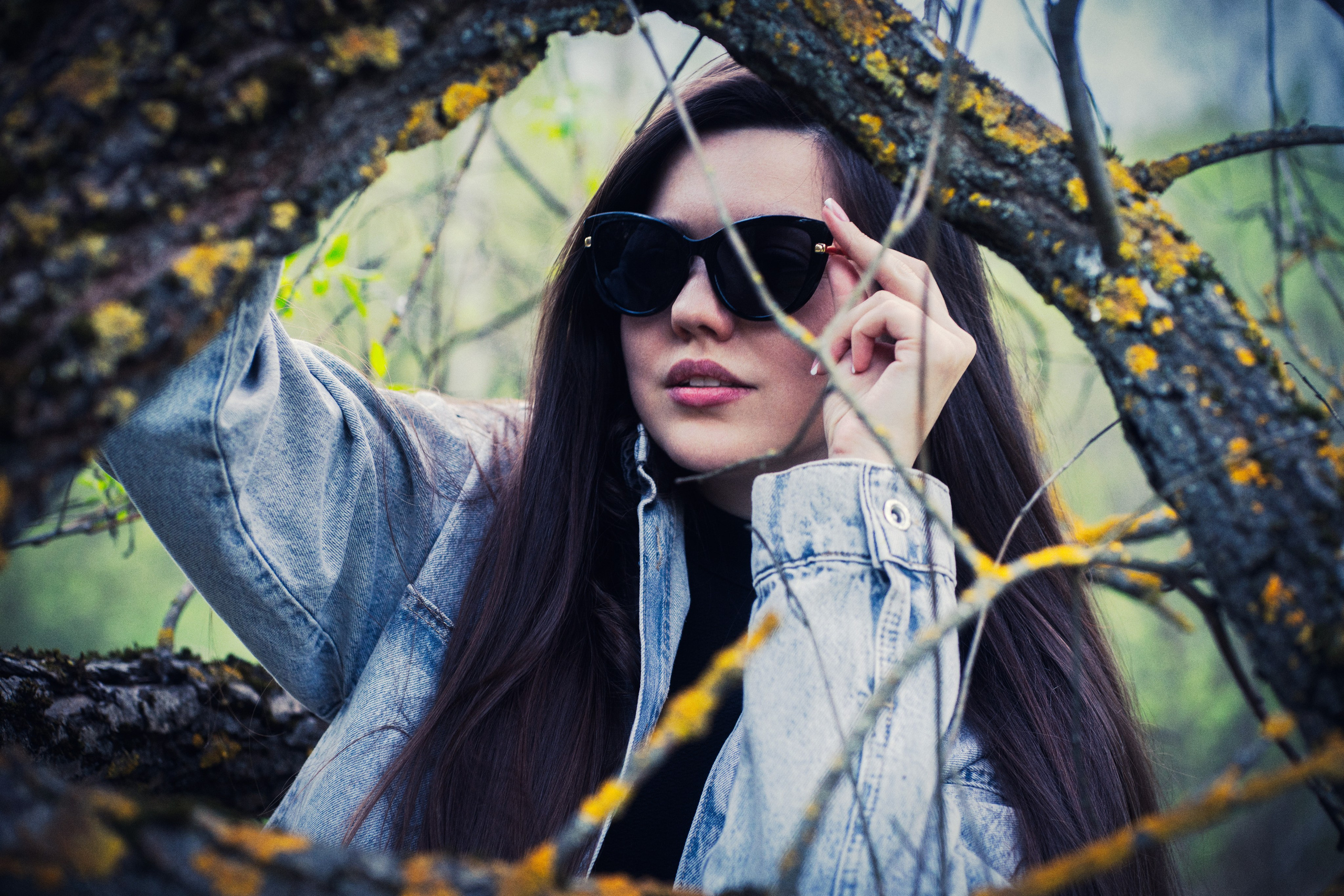 Фотосессия цветение. Яростный фотолюбитель Vervie Vitoe