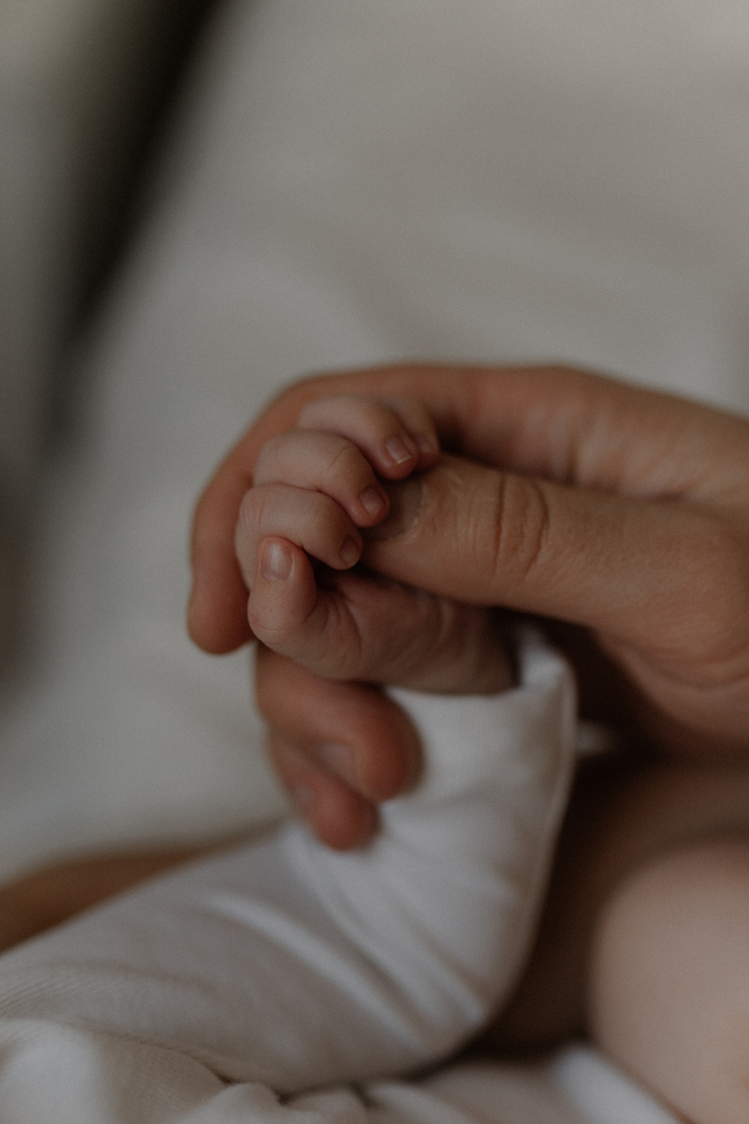 Лиза, Юра и Сашенька. Семейный lifestyle фотограф в Москве Рената Рафикова