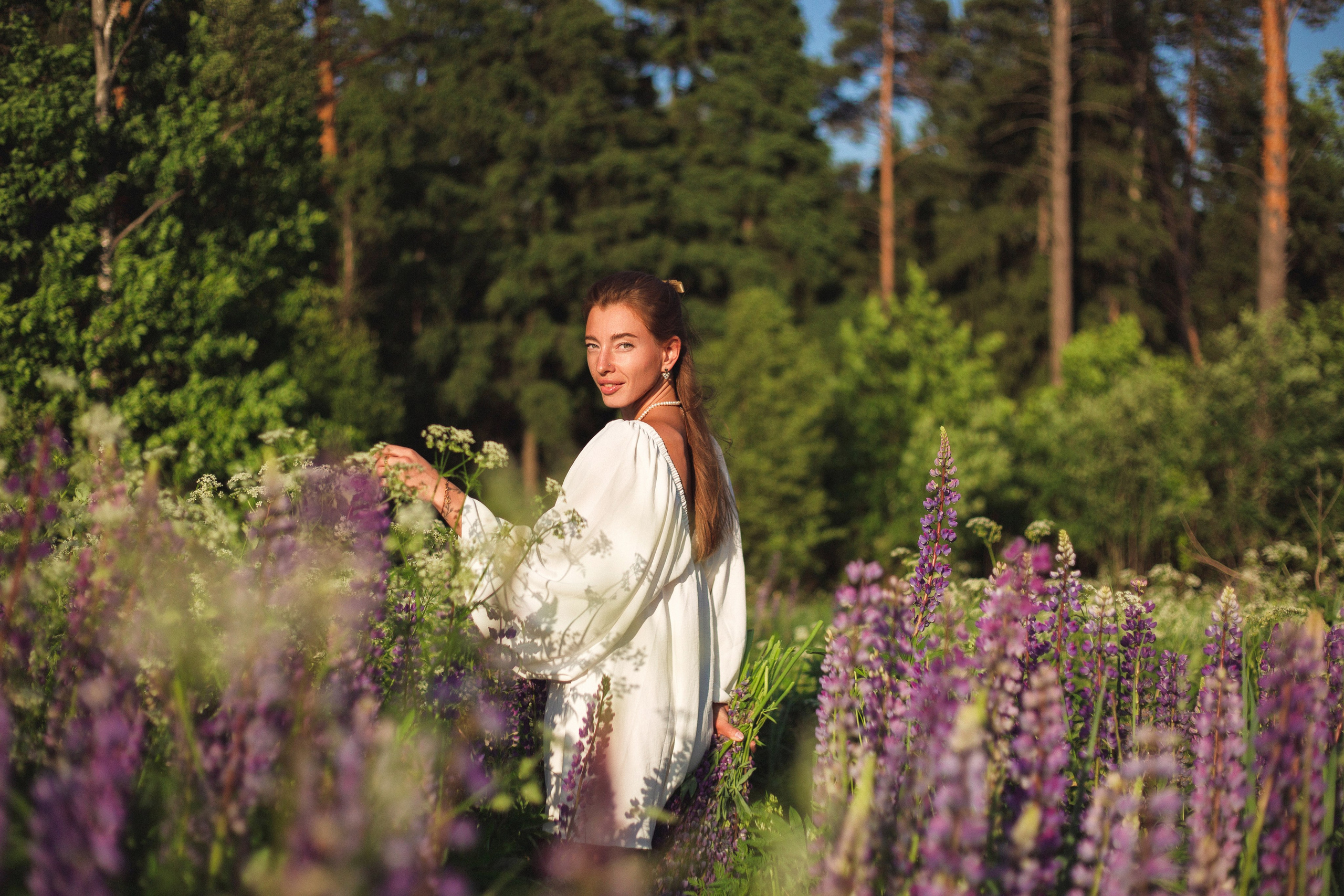Люпины. Фотограф Москва / Балашиха