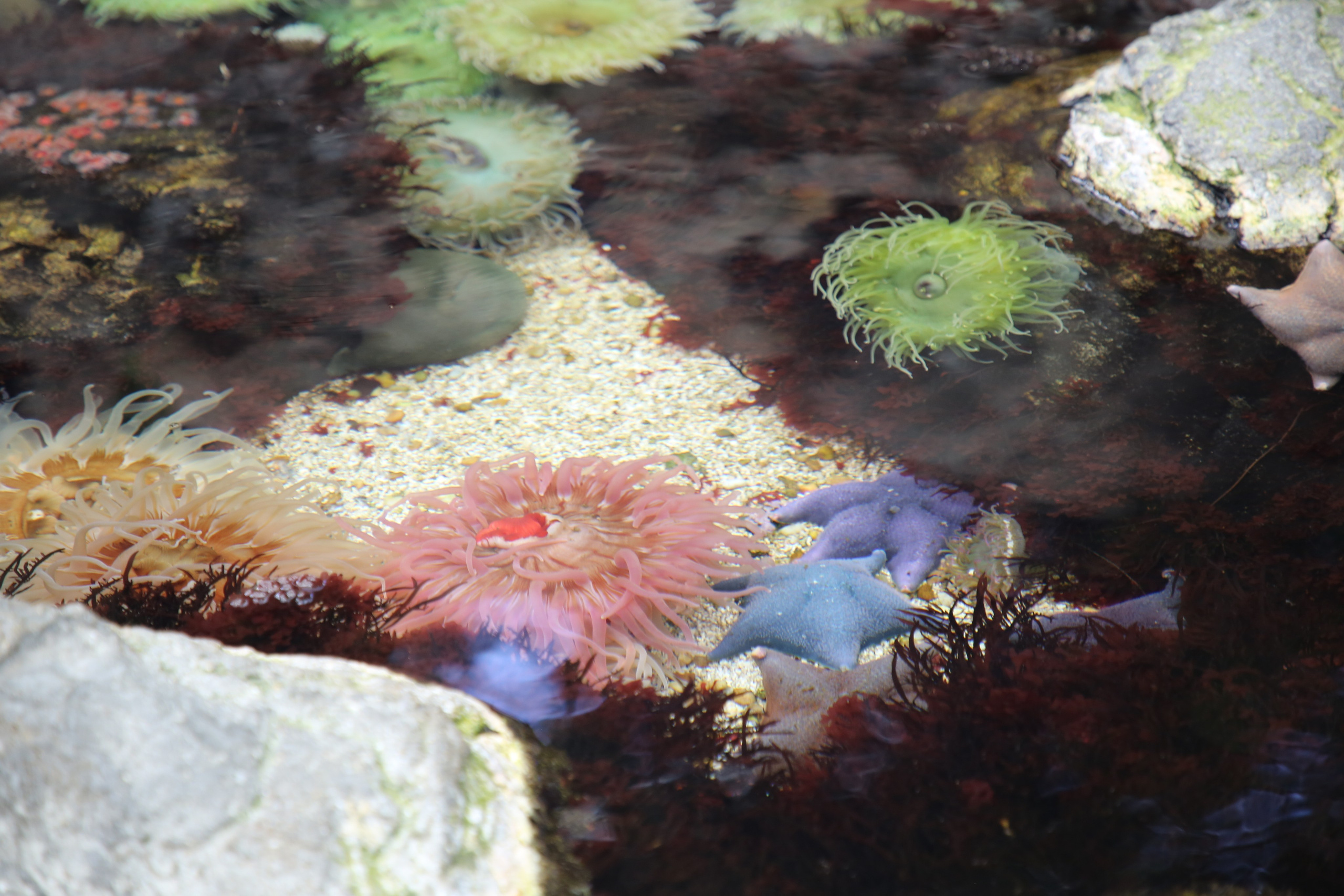 Lisbon, Portugal. Andrey Filippov Photographer